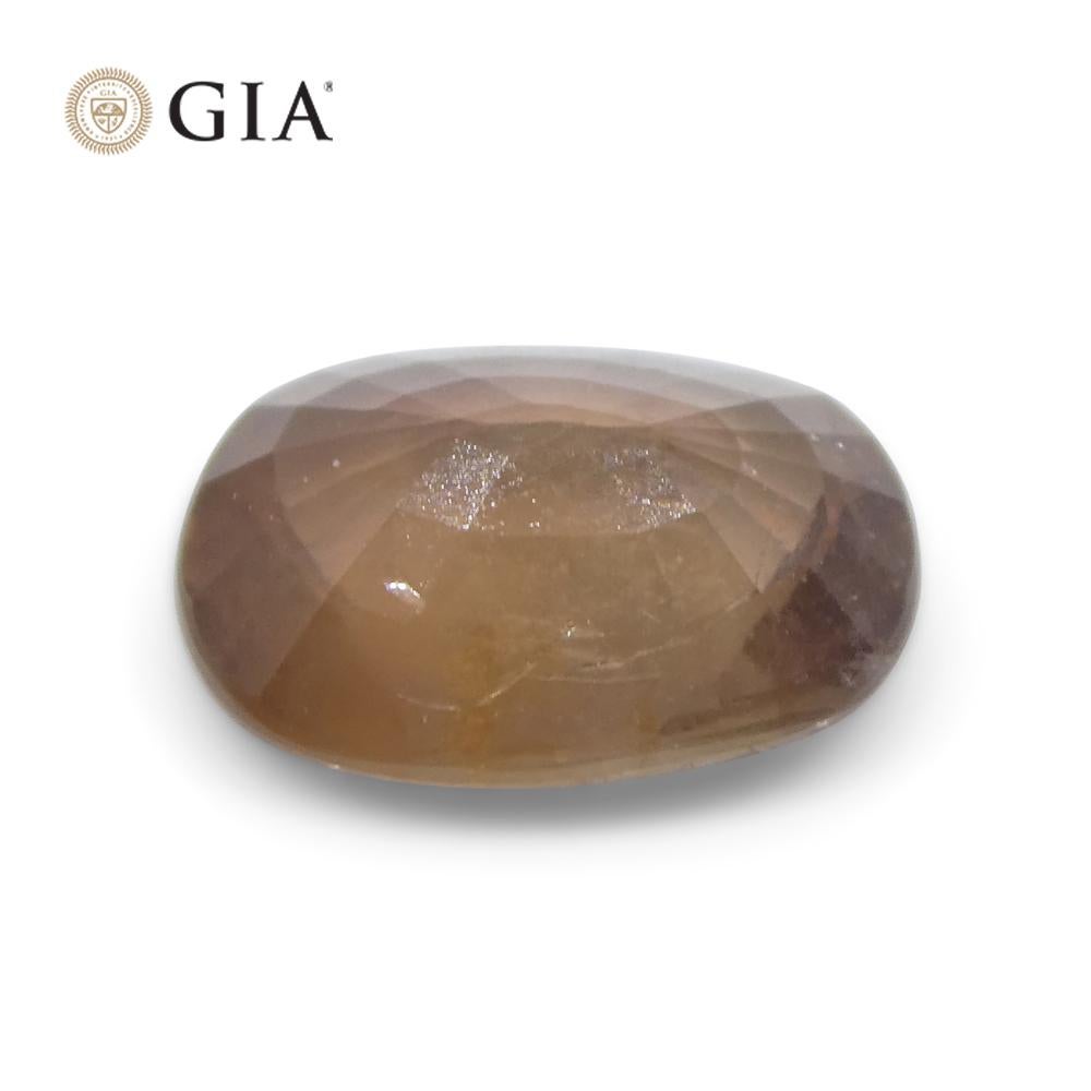 2.5ct Oval Opalescent Brownish Pink Sapphire GIA Certified East Africa Unheated For Sale 12