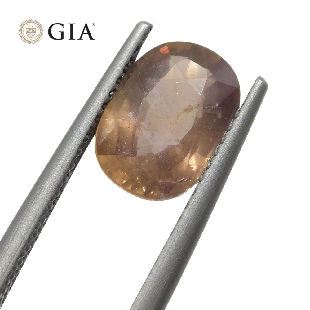 2.5ct Oval Opalescent Brownish Pink Sapphire GIA Certified East Africa Unheated For Sale 14