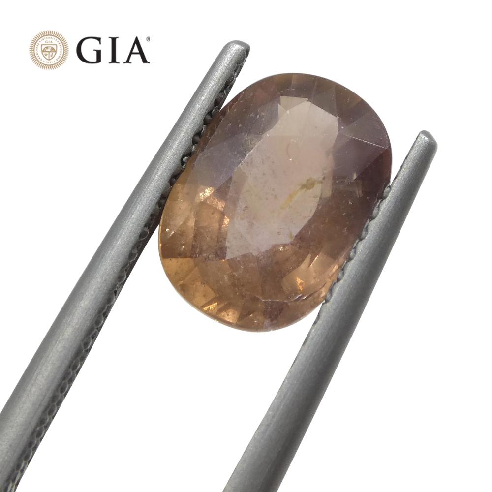 2.5ct Oval Opalescent Brownish Pink Sapphire GIA Certified East Africa Unheated In New Condition For Sale In Toronto, Ontario