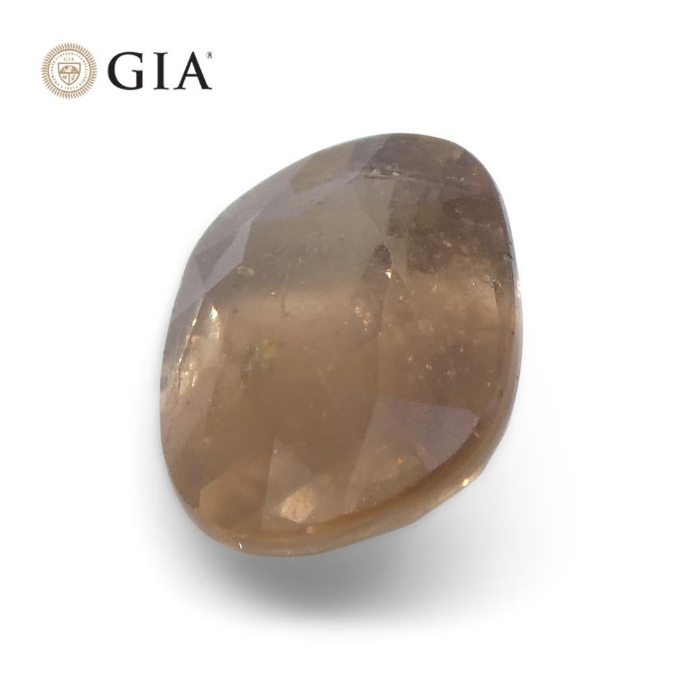 2.5ct Oval Opalescent Brownish Pink Sapphire GIA Certified East Africa Unheated For Sale 2