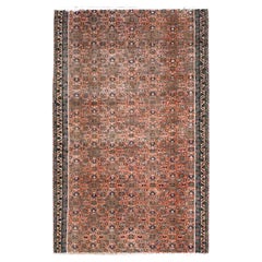 Tappeto Savanna Brown annodato a mano in pura lana persiana vintage del nord-ovest