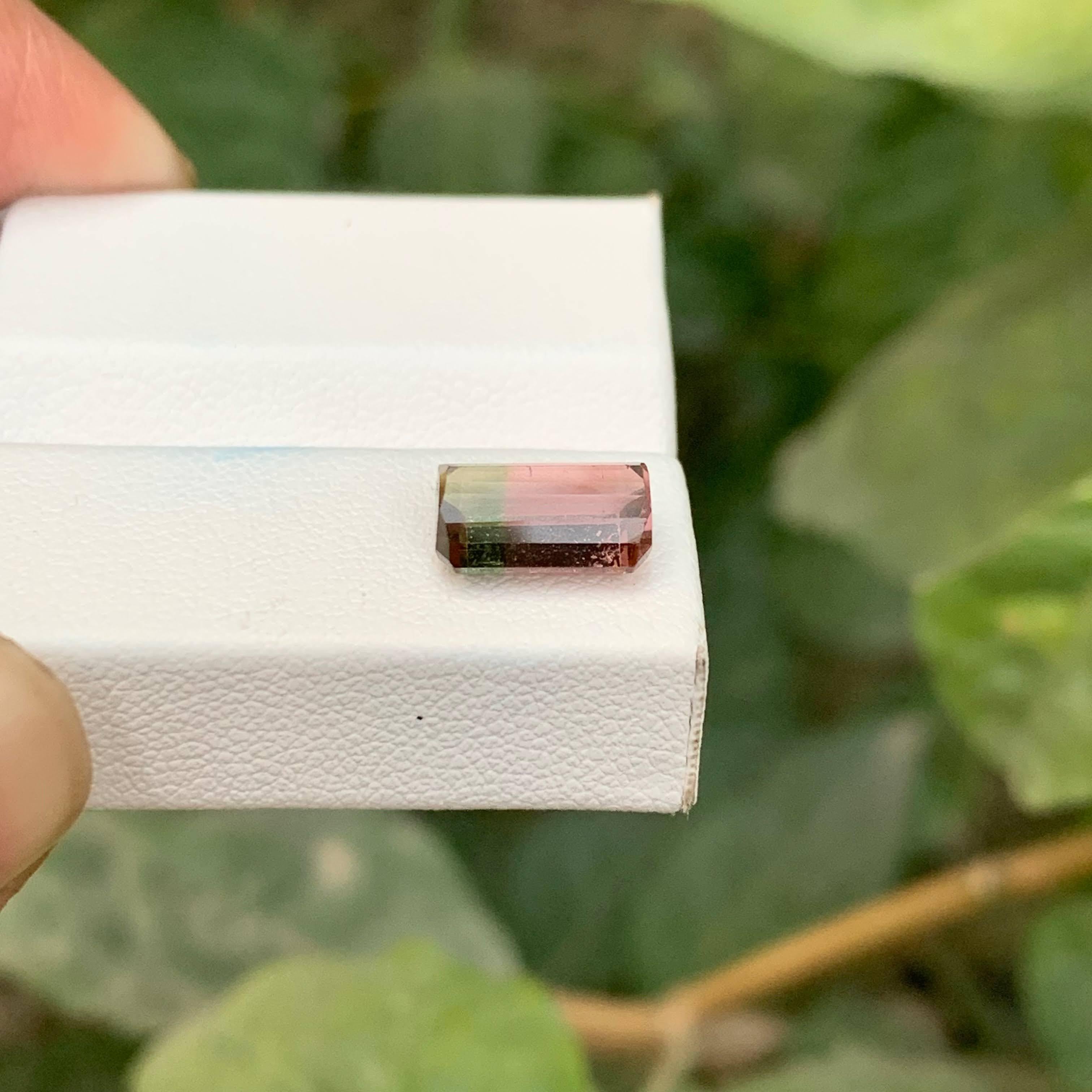 2.60 Carat Natural Loose Bi Color Tourmaline Stone Cushion Cut African Gemstone im Angebot 4