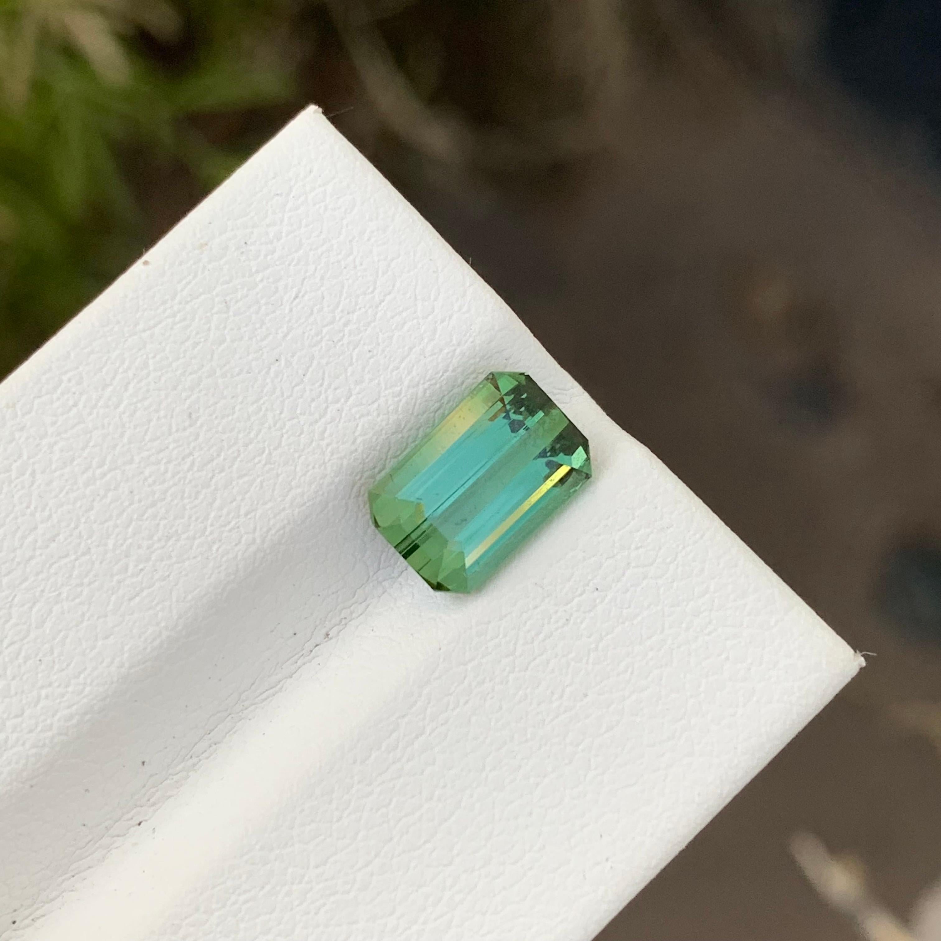 Lose Grüner Turmalin

Gewicht: 2,60 Karat
Abmessung: 9.2 x 6.1 x 4.9 Mm
Farbe: Grün
Herkunft: Afghanistan
Zertifikat: Auf Anfrage
Behandlung: Nicht


Der Turmalin ist ein faszinierender Edelstein, der für seine bemerkenswerte Farbvielfalt bekannt