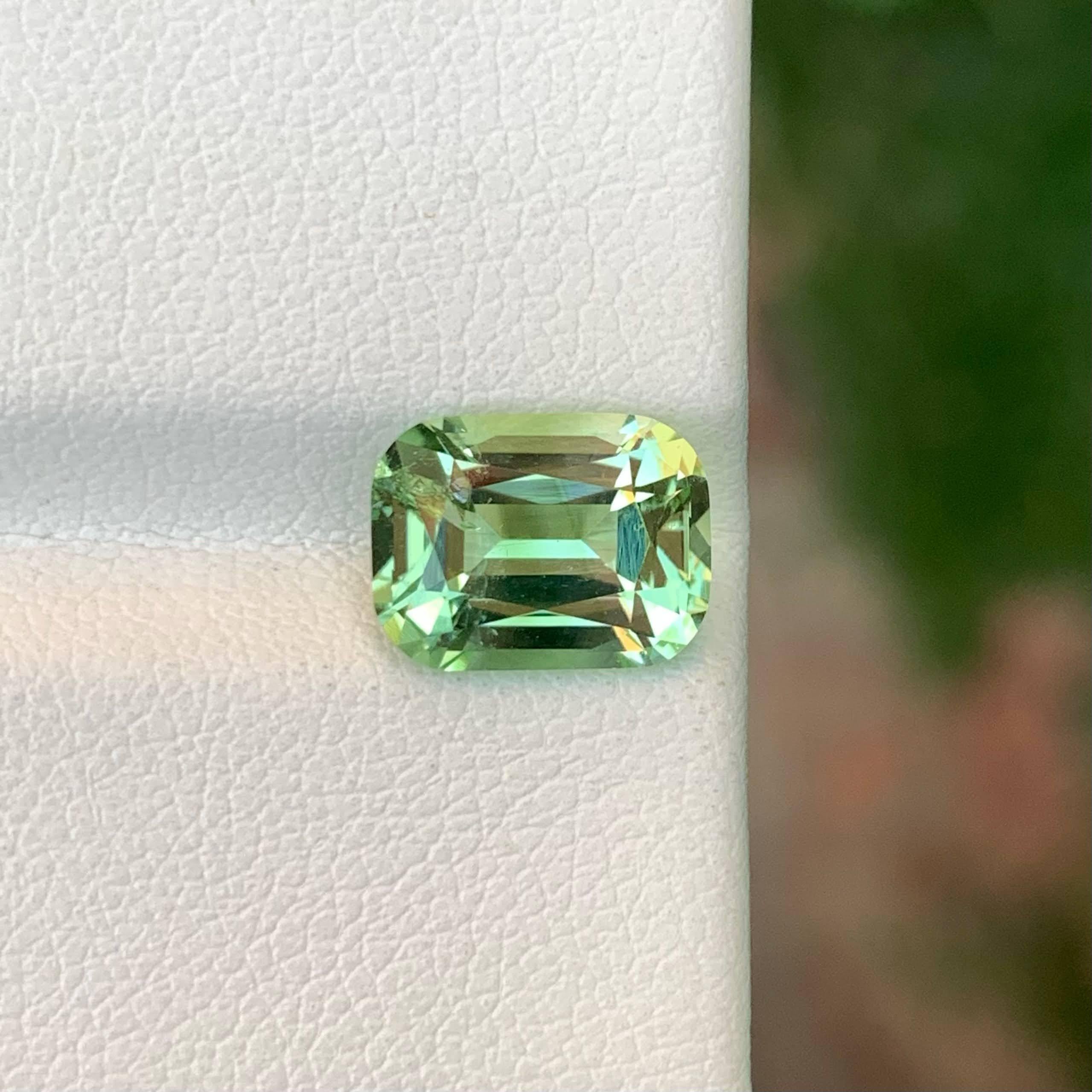 Poids 2,60 carats
Dimensions 9,6x7,3x5,1mm
Traitement Aucun
Origine afghane
Clarté VVS
Forme Coupe Coussin 
NA



Cette magnifique tourmaline naturelle de 2,60 carats présente une teinte vert menthe rafraîchissante - douce, lumineuse et pleine de