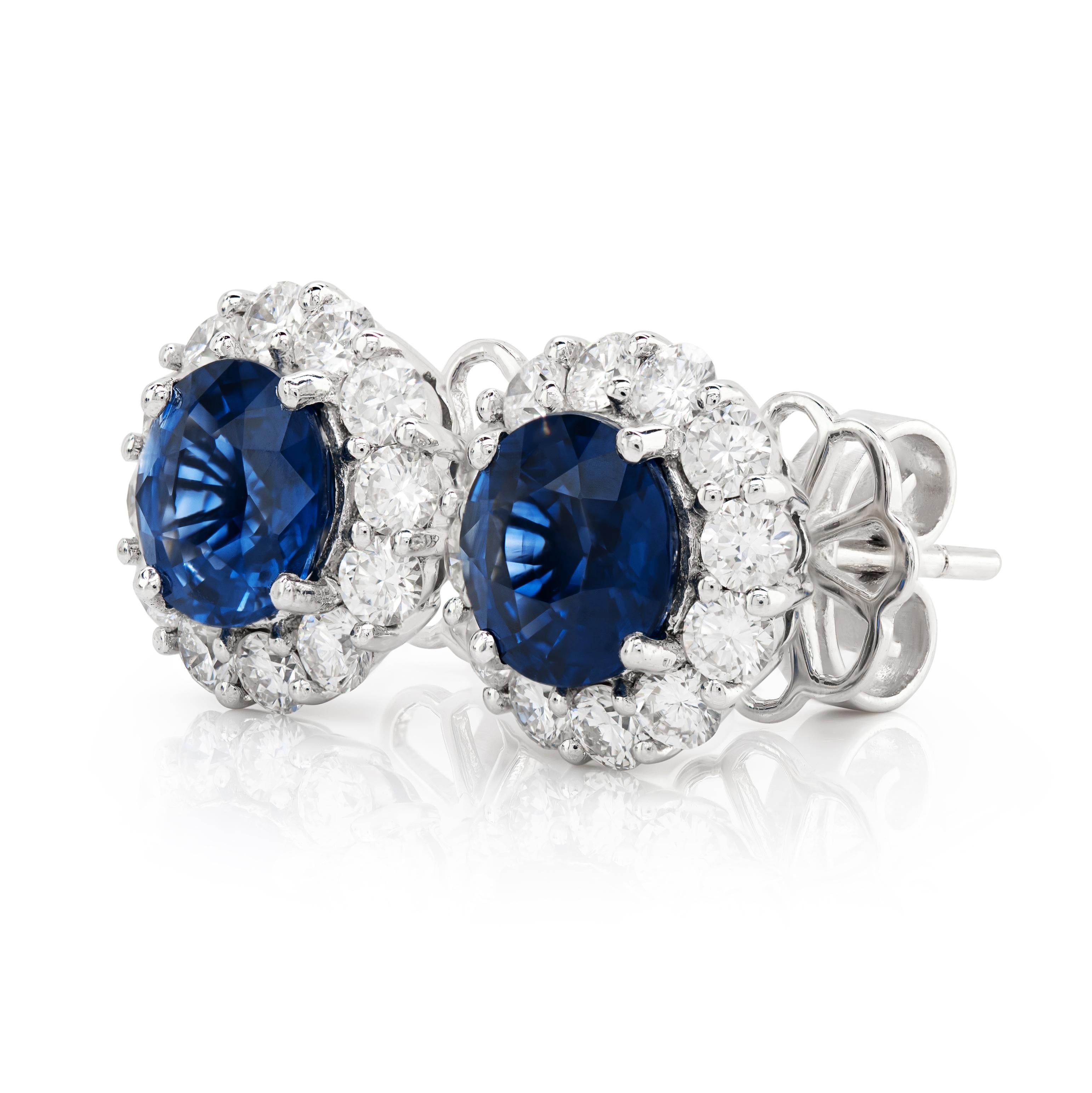 These 'Eyes of the Ocean' rare Blue Sapphire earrings are elegantly placed in a beautifully textured white gold setting. 2.60 carats Rare Blue Sapphire Earrings are brilliantly set with 18K White Gold, creating tremendous contrast between the luster