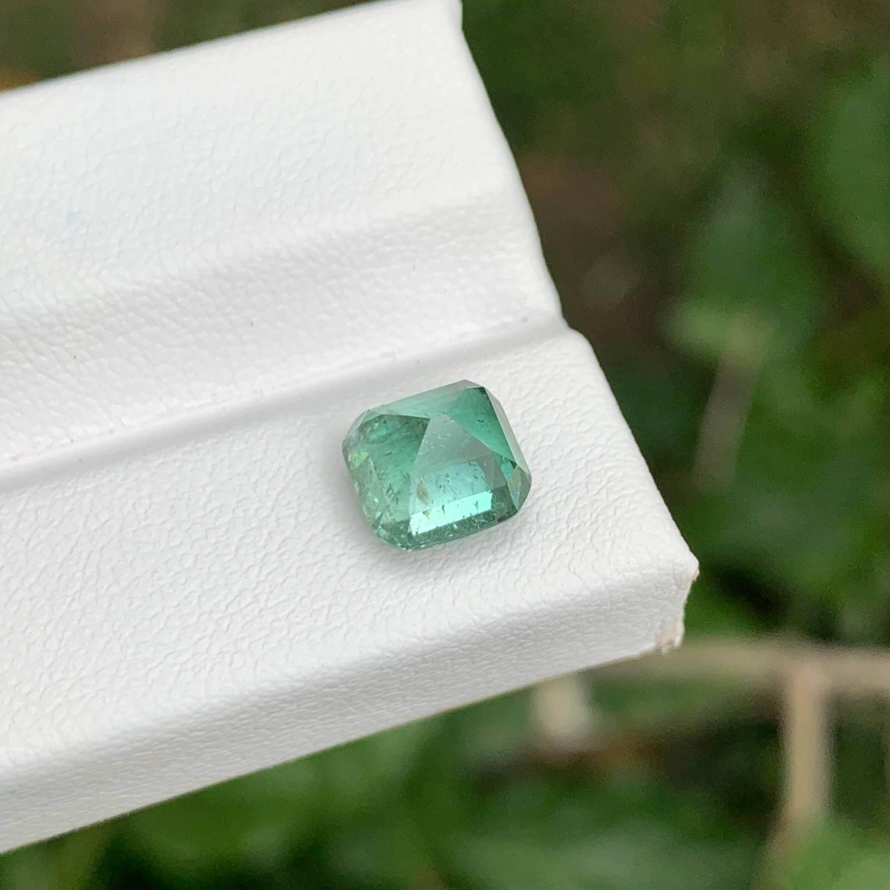 2,60 Karat Hellgrüner Turmalin Stein Cushion Cut Afghanischer Edelstein (Moderne) im Angebot