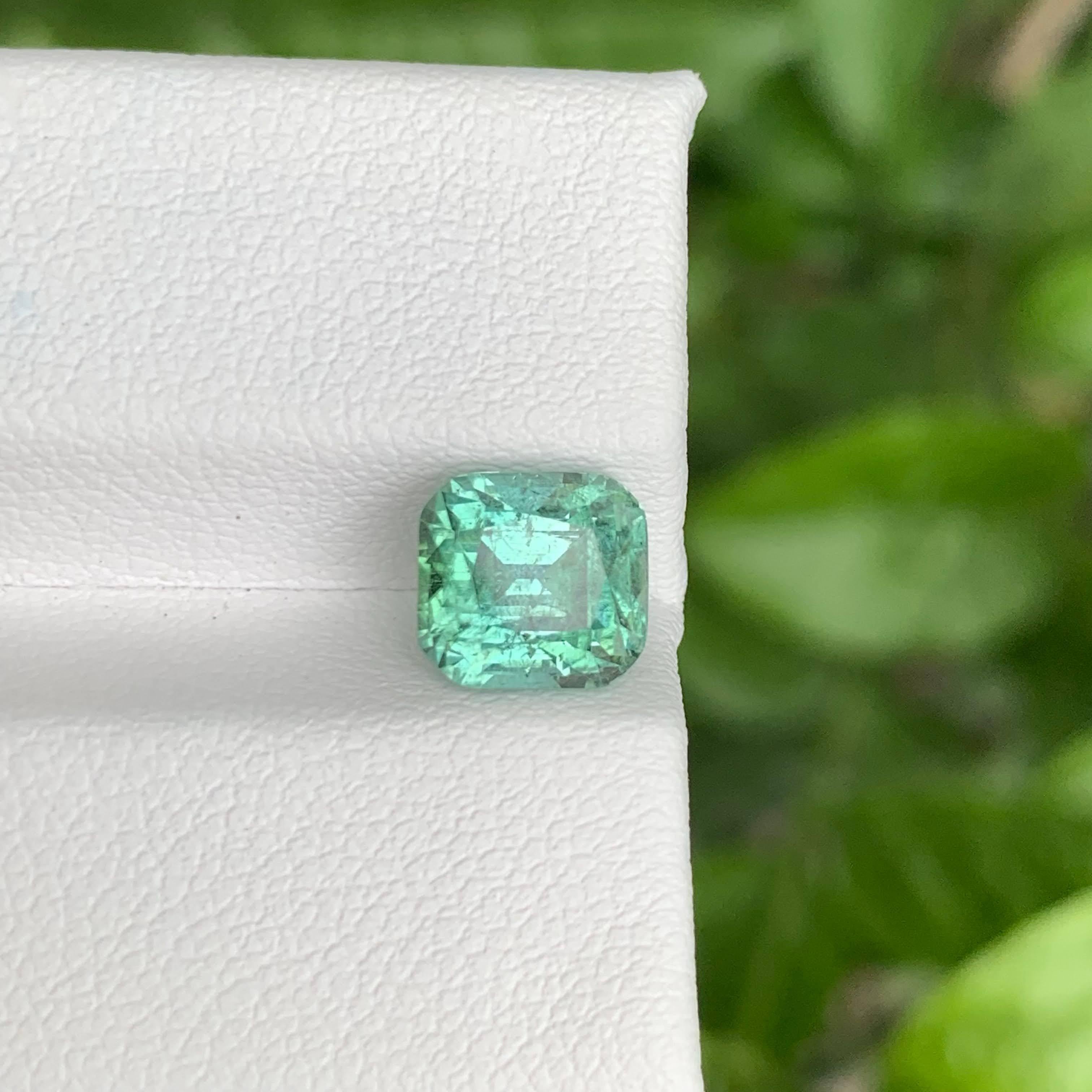 2,60 Karat Hellgrüner Turmalin Stein Cushion Cut Afghanischer Edelstein im Angebot 2