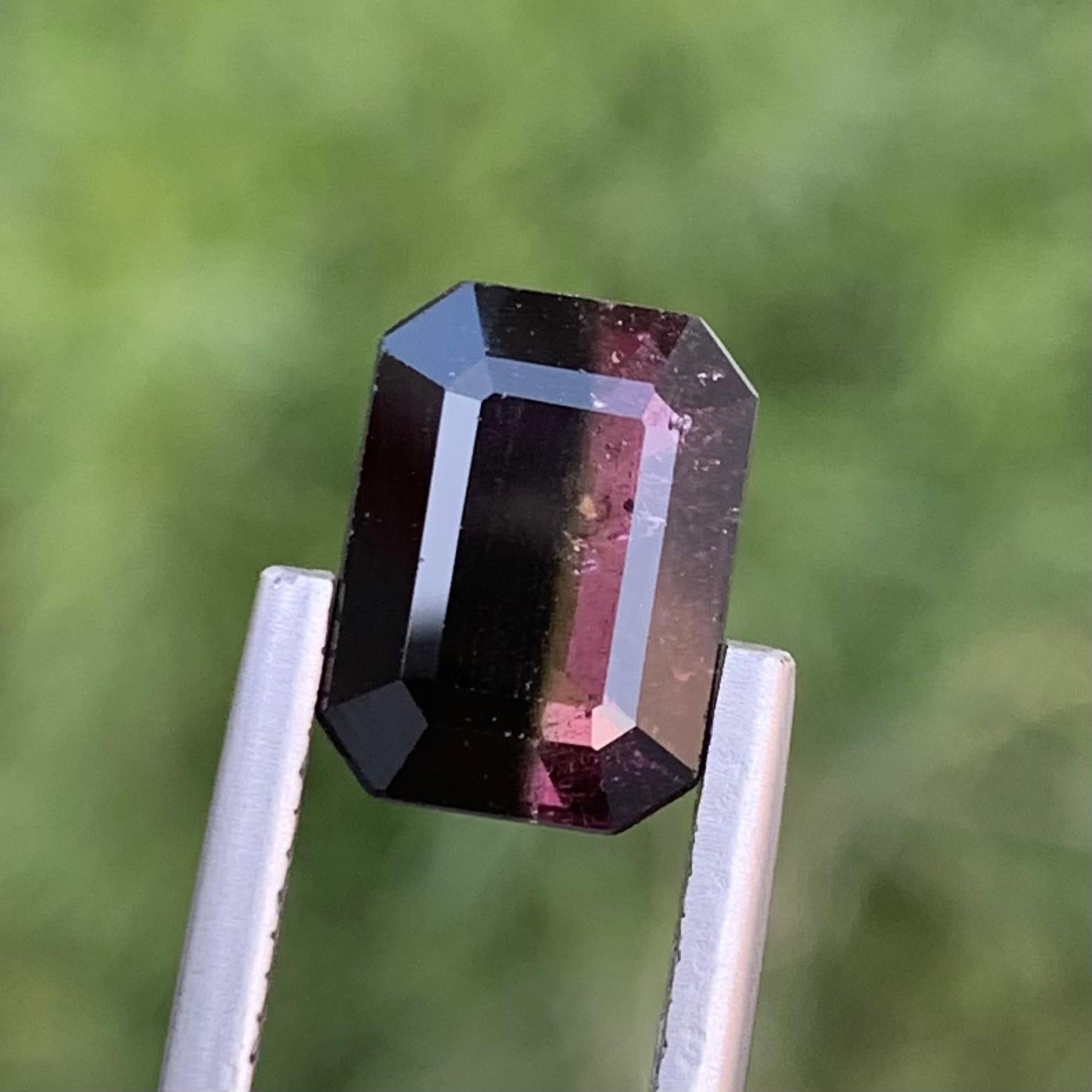 Loose Bi Colour Tourmaline 
Weight: 2.60 Carats 
Dimension: 9.5 x 7 x 4.5 Mm
Colour: Black And Pink 
Origin: Skardu, Pakistan 
Certificate: On Demand 
Treatment: Non 

Bicolor tourmaline, a captivating gemstone celebrated for its stunning dual-color