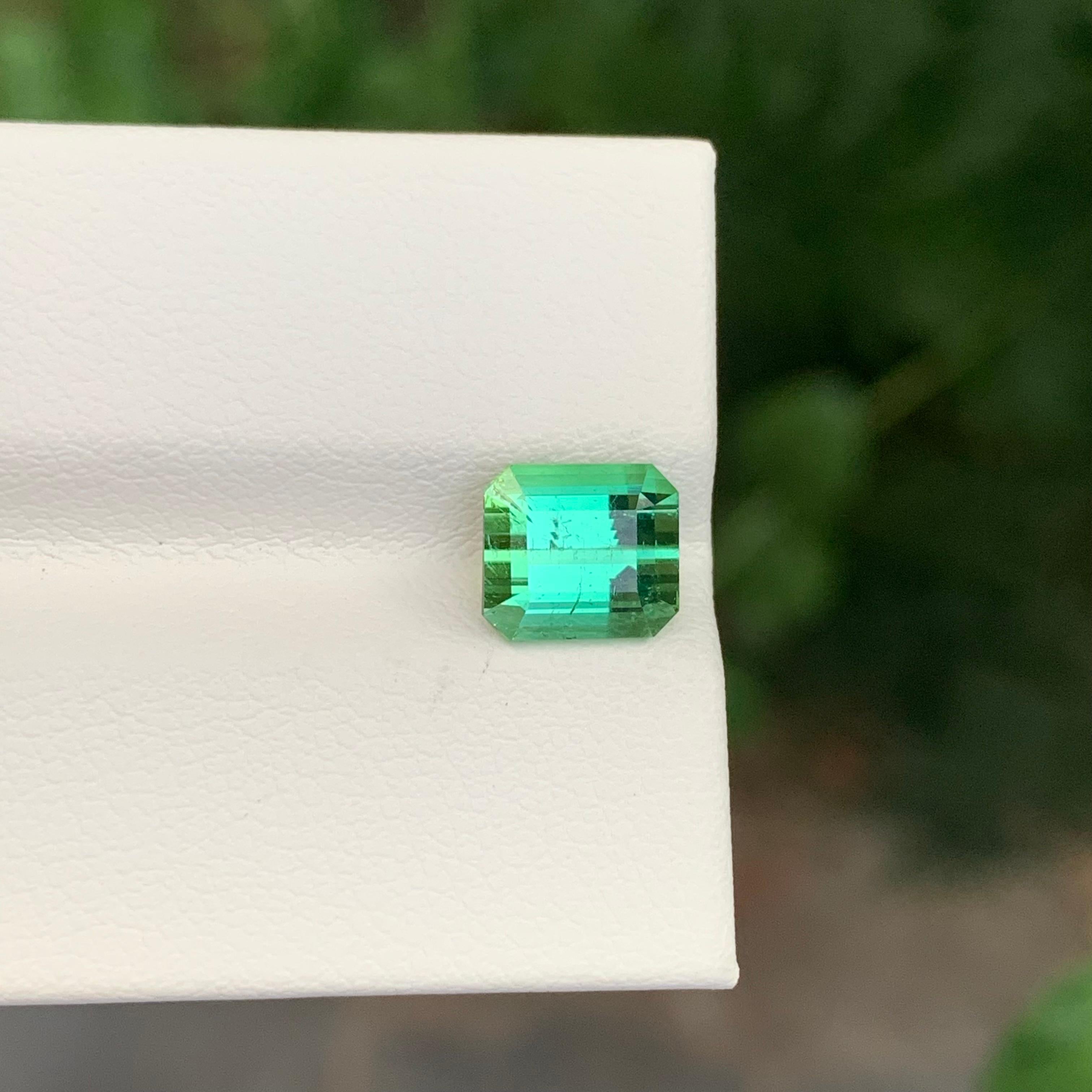 2.60 Carats Natural Loose Mintgreen Tourmaline Emerald Shape Gem en vente 4