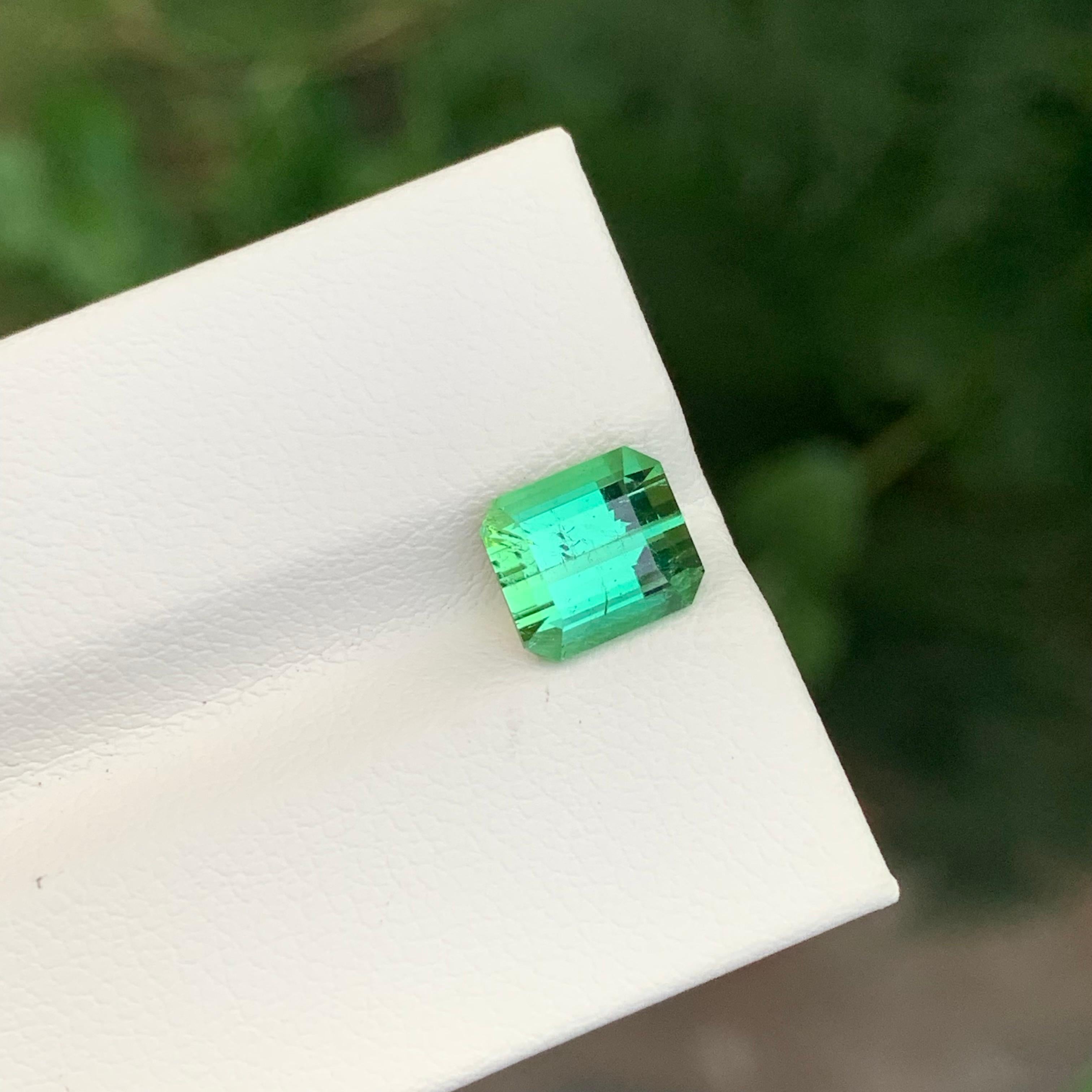 2.60 Carats Natural Loose Mintgreen Tourmaline Emerald Shape Gem en vente 5