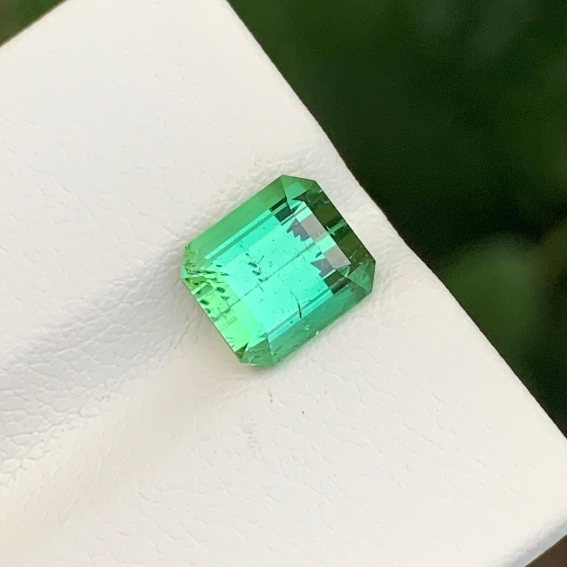 2.60 Carats Natural Loose Mintgreen Tourmaline Emerald Shape Gem en vente 6