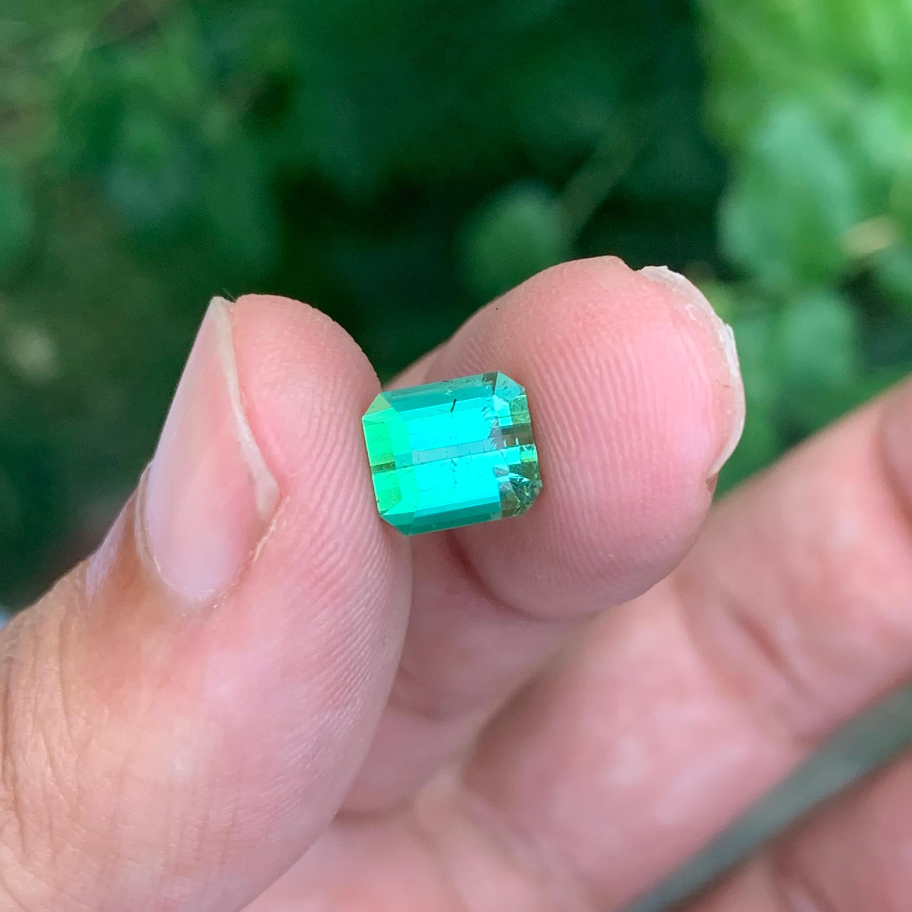 2.60 Carats Natural Loose Mintgreen Tourmaline Emerald Shape Gem en vente 7