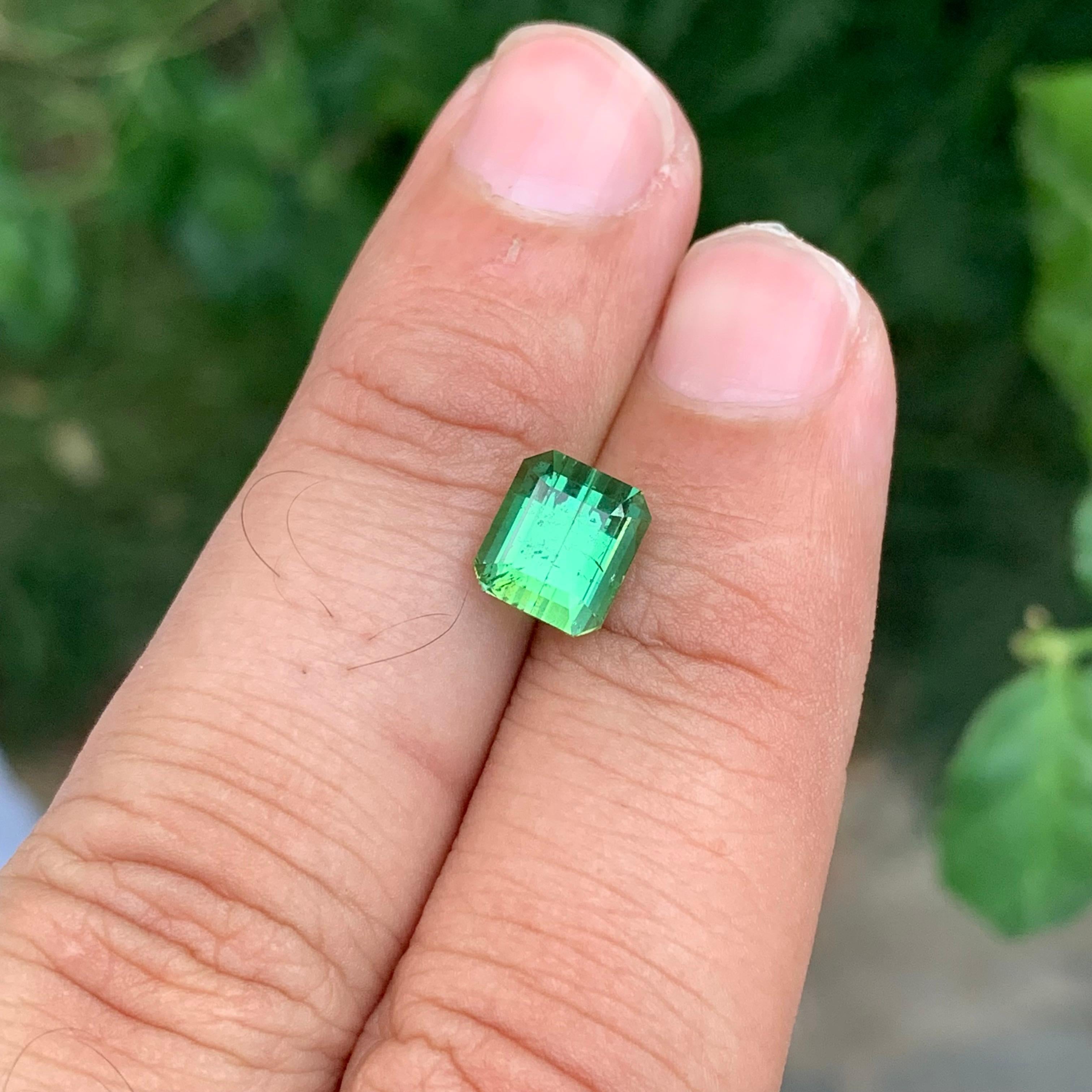 2.60 Carats Natural Loose Mintgreen Tourmaline Emerald Shape Gem en vente 8