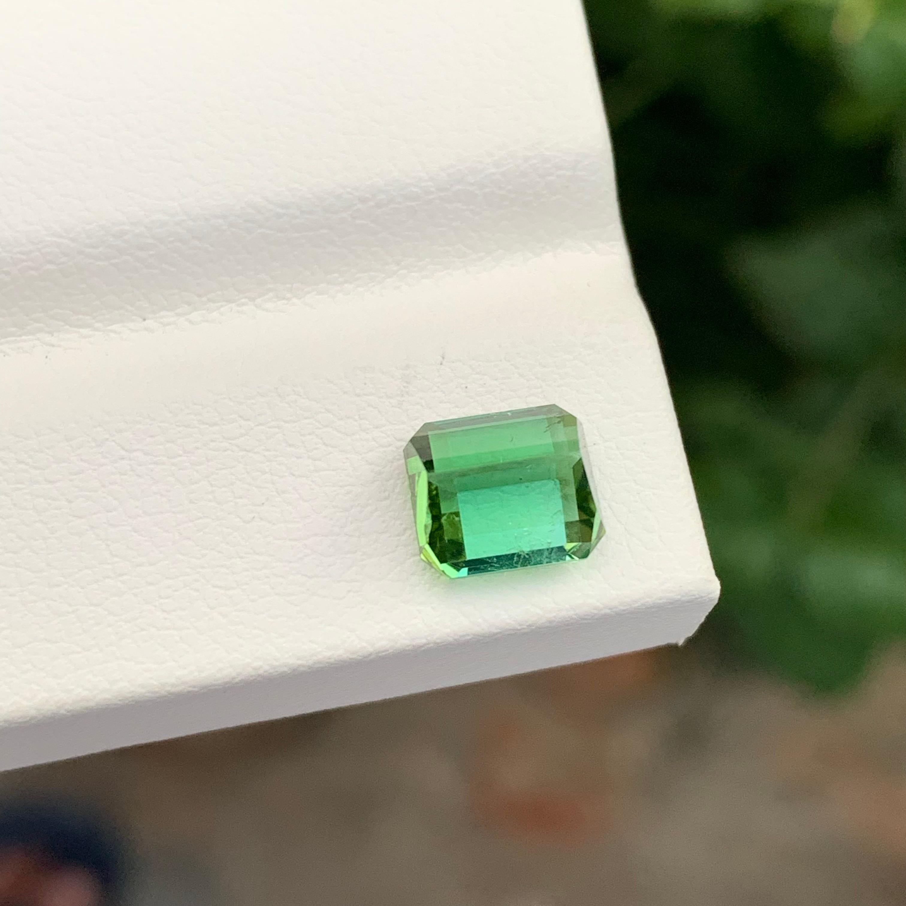 Tourmaline en vrac
Poids : 2,60 carats 
Dimension : 7.8x6.8x5.4 Mm
Origine : Kunar Afghanistan 
Forme : Émeraude 
Couleur : vert menthe
Traitement : Non
Certificat : Sur demande 

La tourmaline vert menthe est une pierre précieuse captivante,