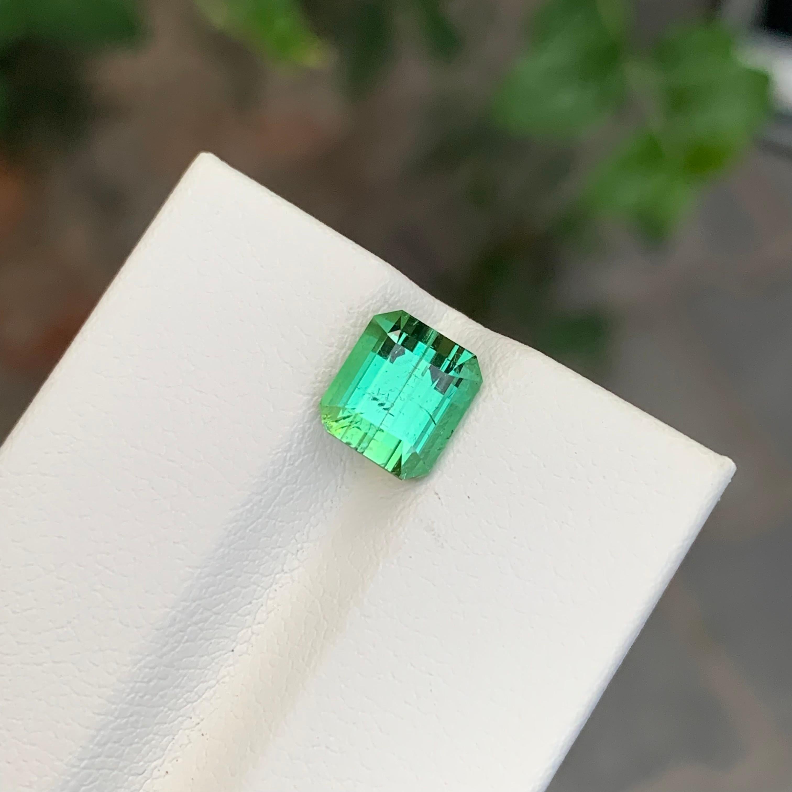 Taille émeraude 2.60 Carats Natural Loose Mintgreen Tourmaline Emerald Shape Gem en vente