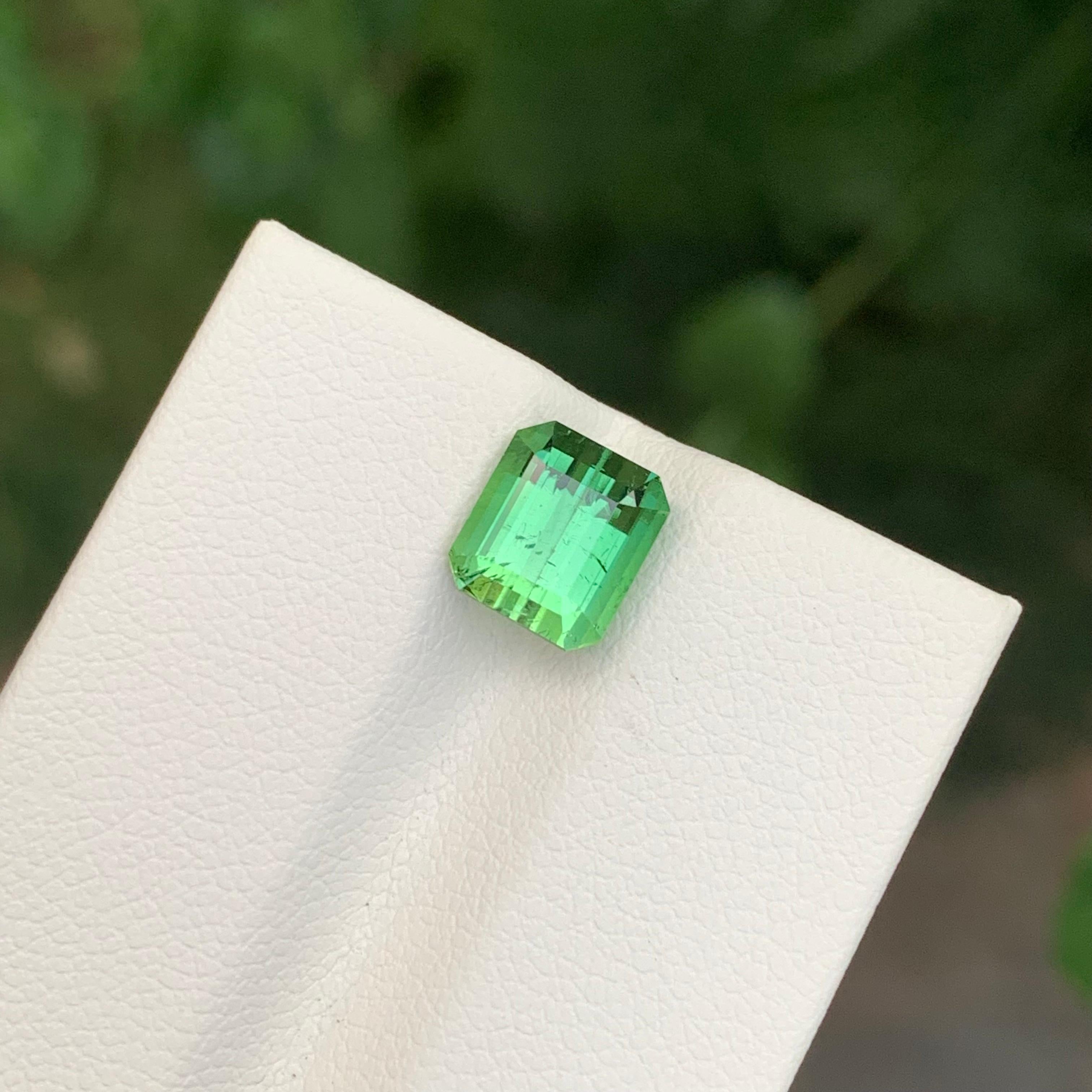 2.60 Carats Natural Loose Mintgreen Tourmaline Emerald Shape Gem en vente 1