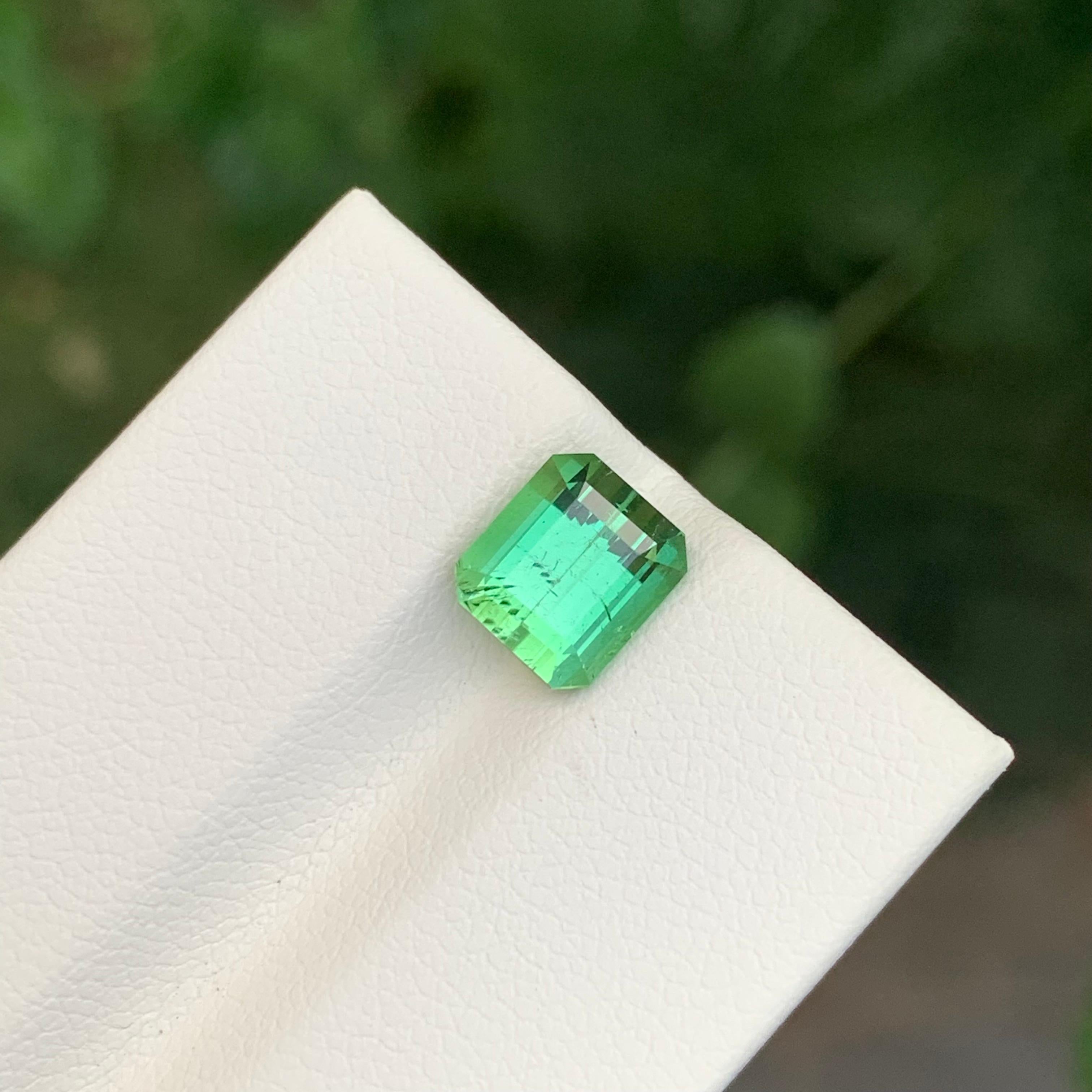 2.60 Carats Natural Loose Mintgreen Tourmaline Emerald Shape Gem en vente 2