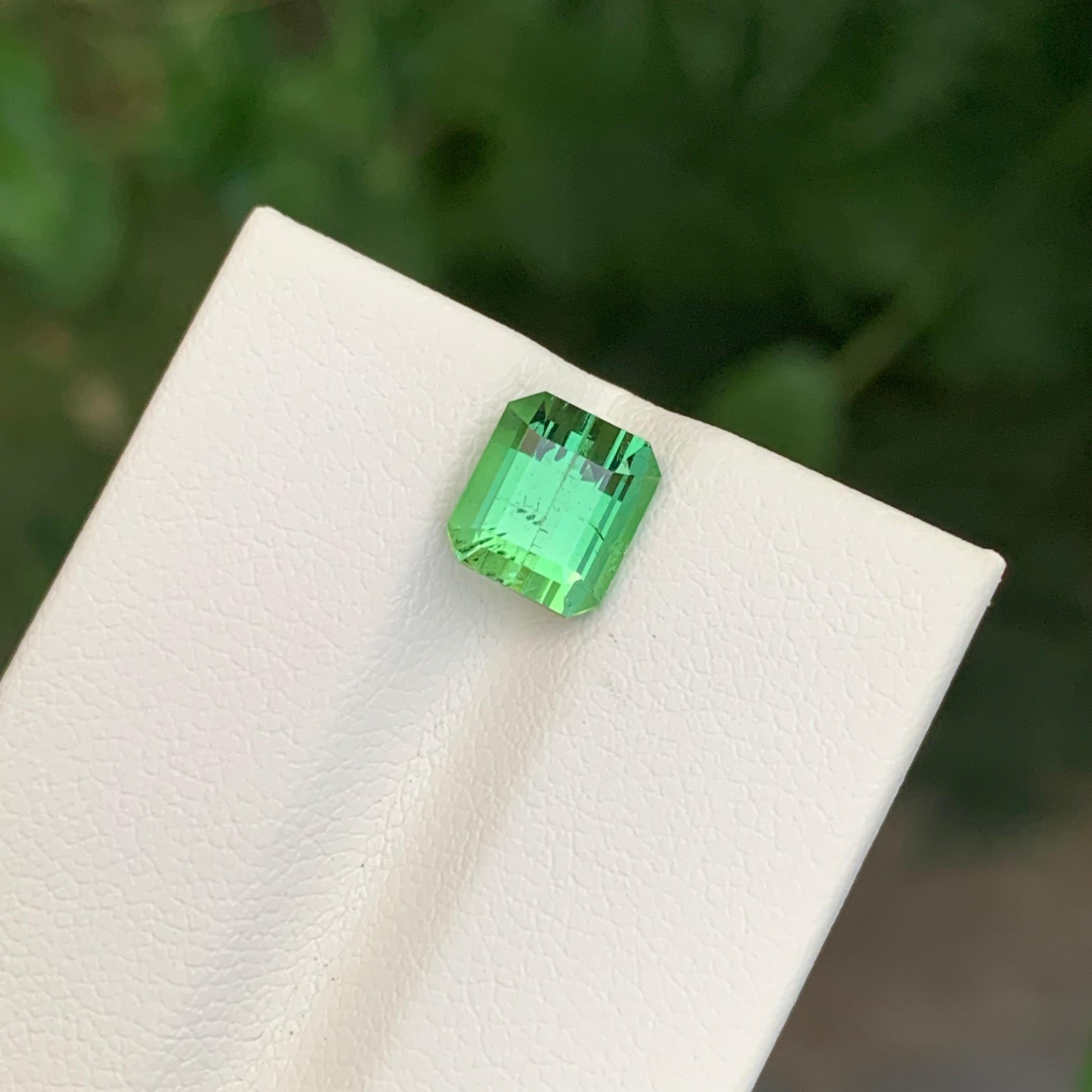 2.60 Carats Natural Loose Mintgreen Tourmaline Emerald Shape Gem en vente 3