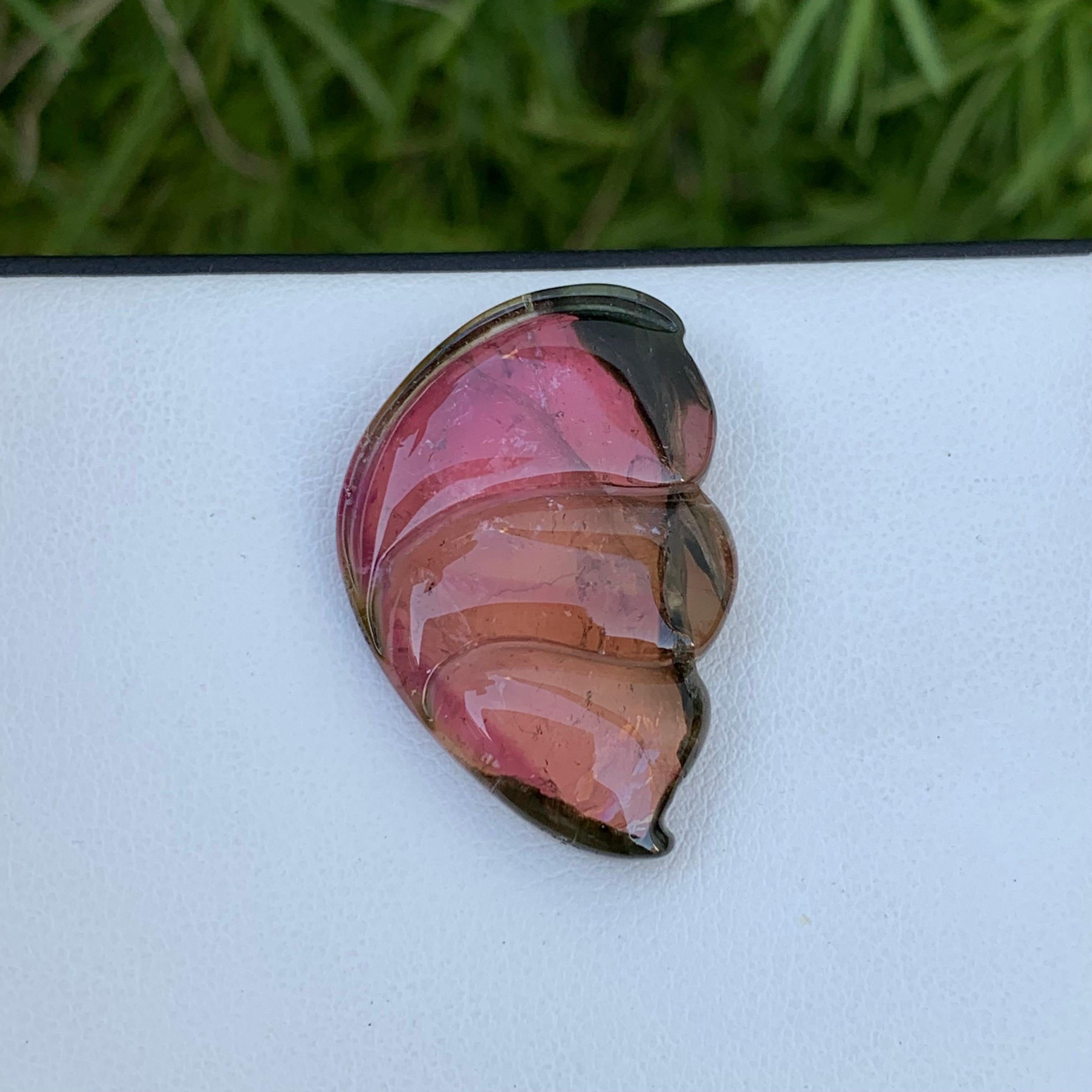 Central African 26.40 Carat Pretty Sea Shell Shape Bi Colour Tourmaline Carving From Africa For Sale
