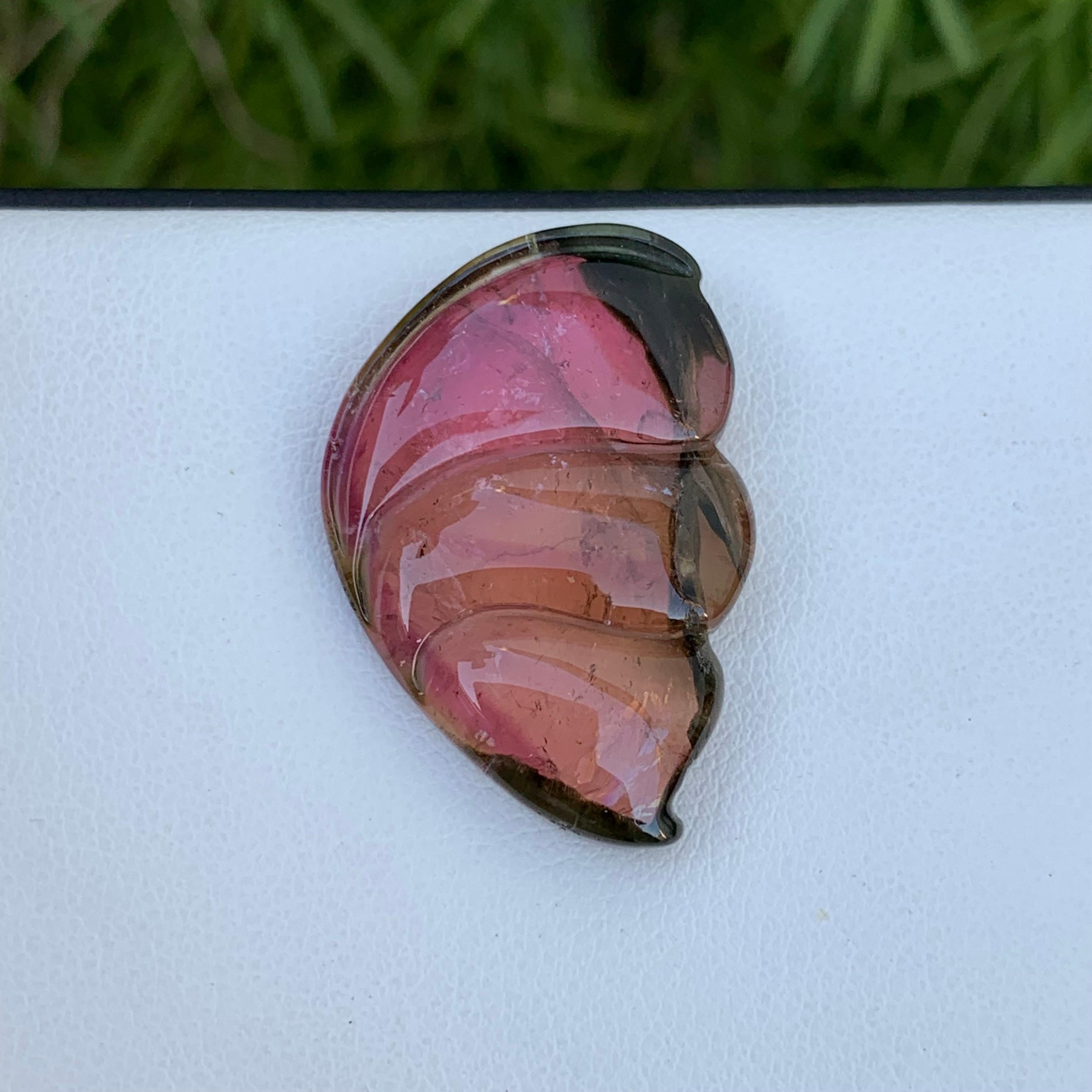 Autre 26.40 Carat Pretty Sea Shell Shape Bi Colour Tourmaline Carving From Africa en vente