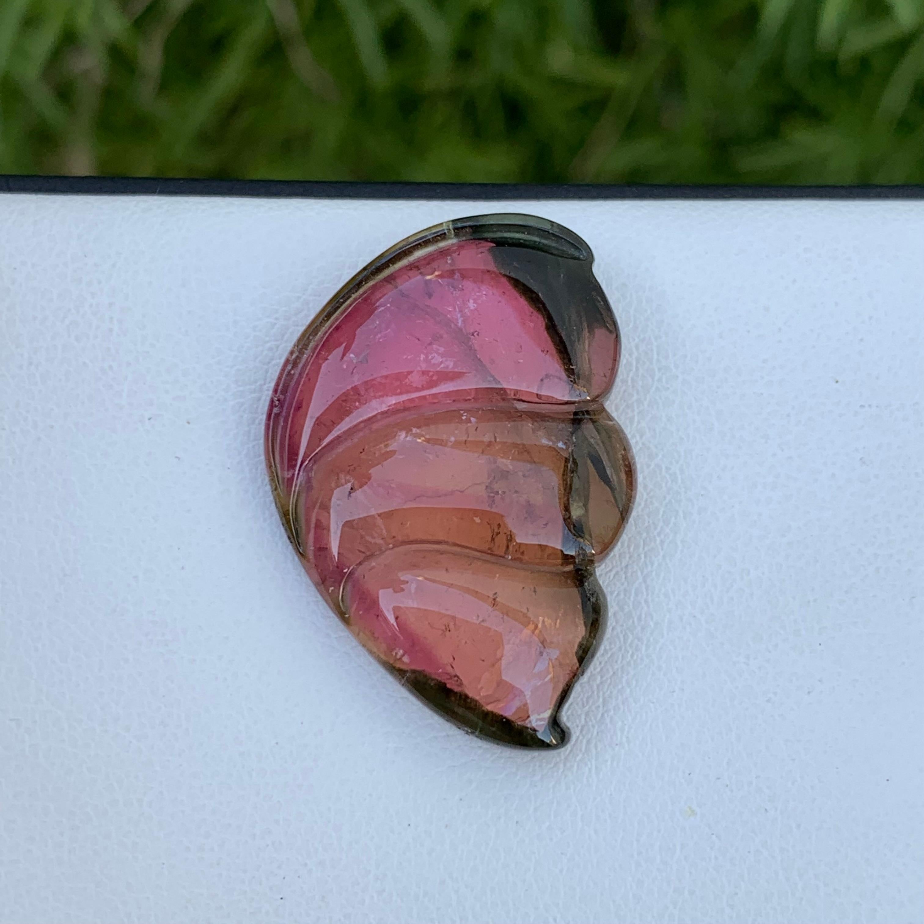 26.40 Carat Pretty Sea Shell Shape Bi Colour Tourmaline Carving From Africa In Good Condition For Sale In Peshawar, PK