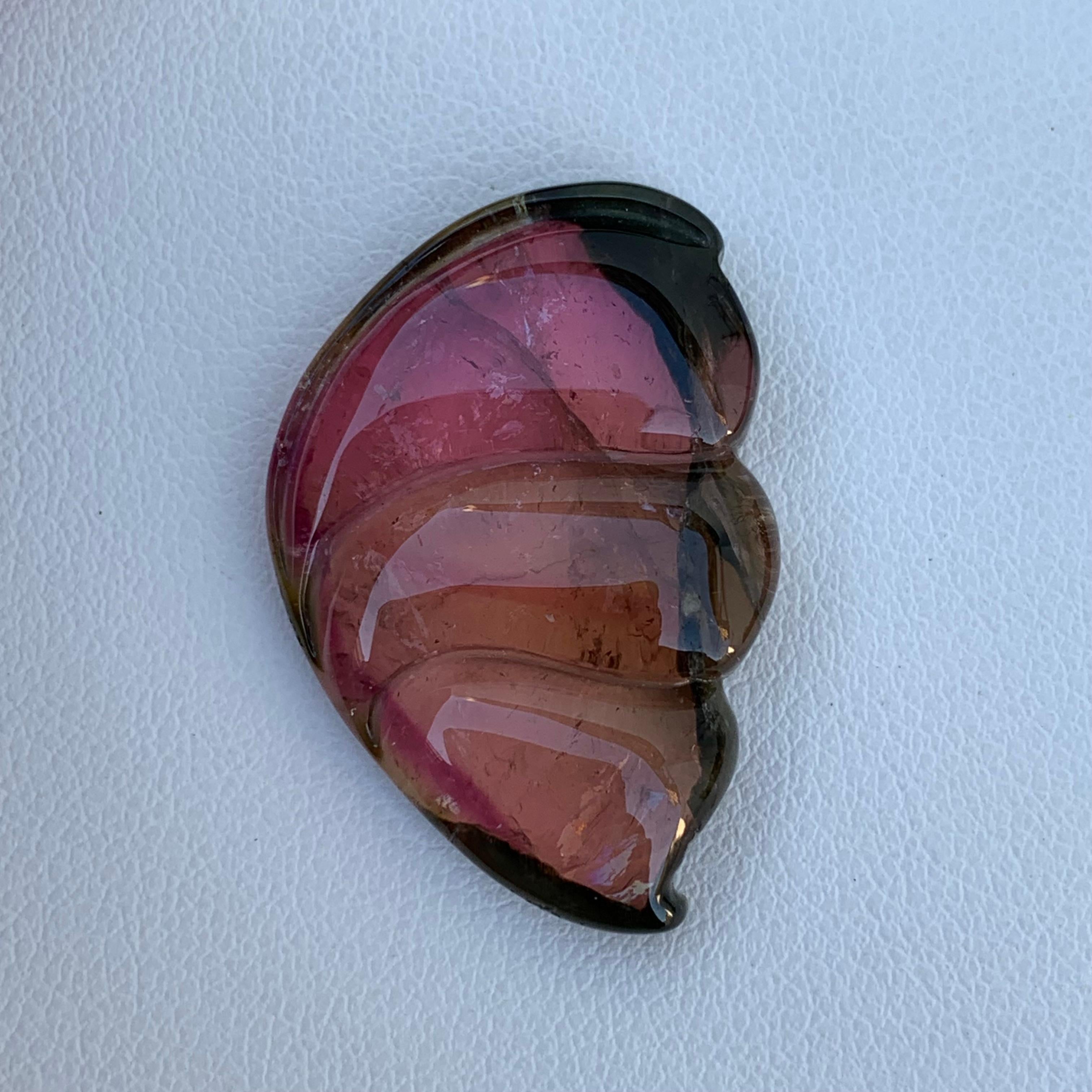 18th Century and Earlier 26.40 Carat Pretty Sea Shell Shape Bi Colour Tourmaline Carving From Africa For Sale