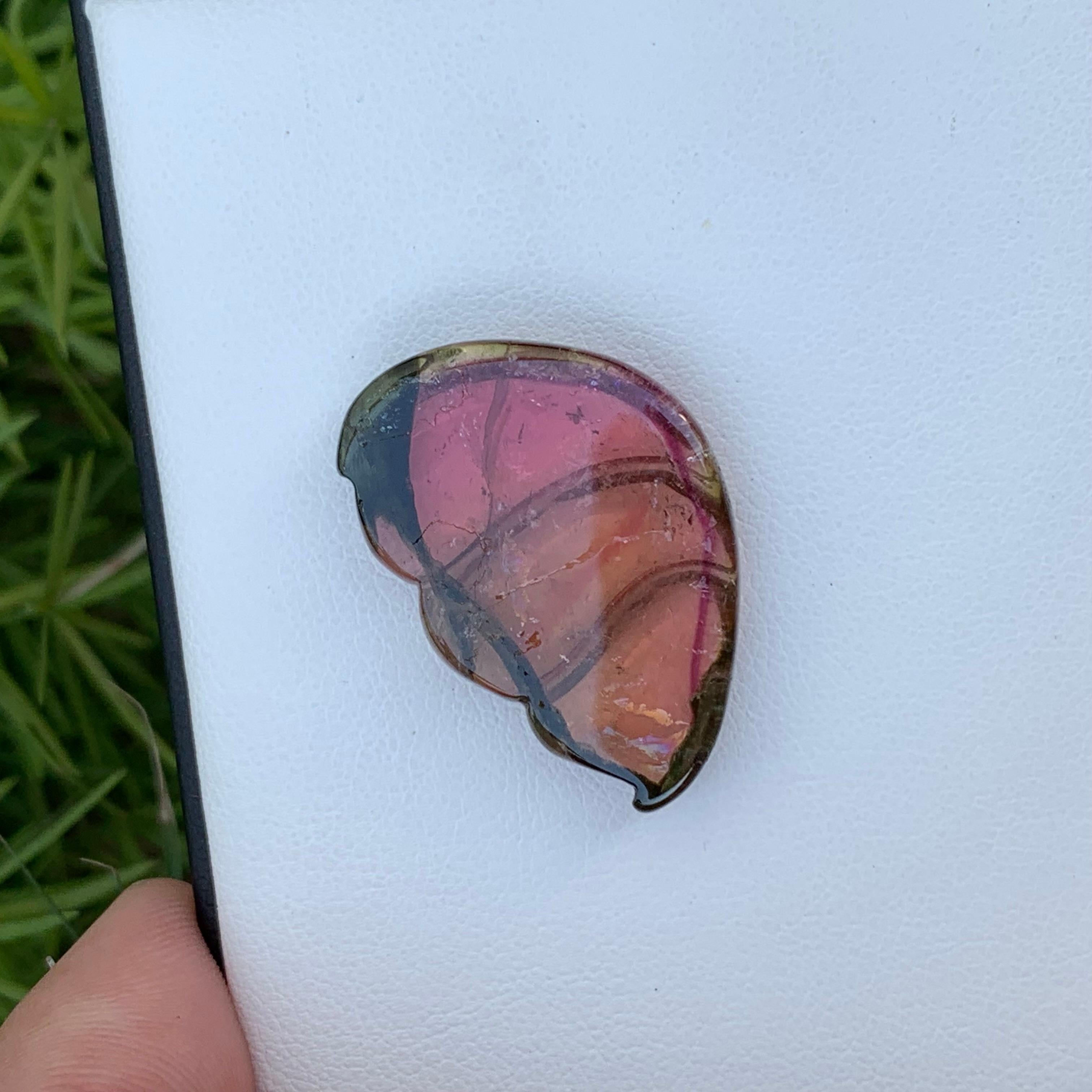 26.40 Carat Pretty Sea Shell Shape Bi Colour Tourmaline Carving From Africa For Sale 1