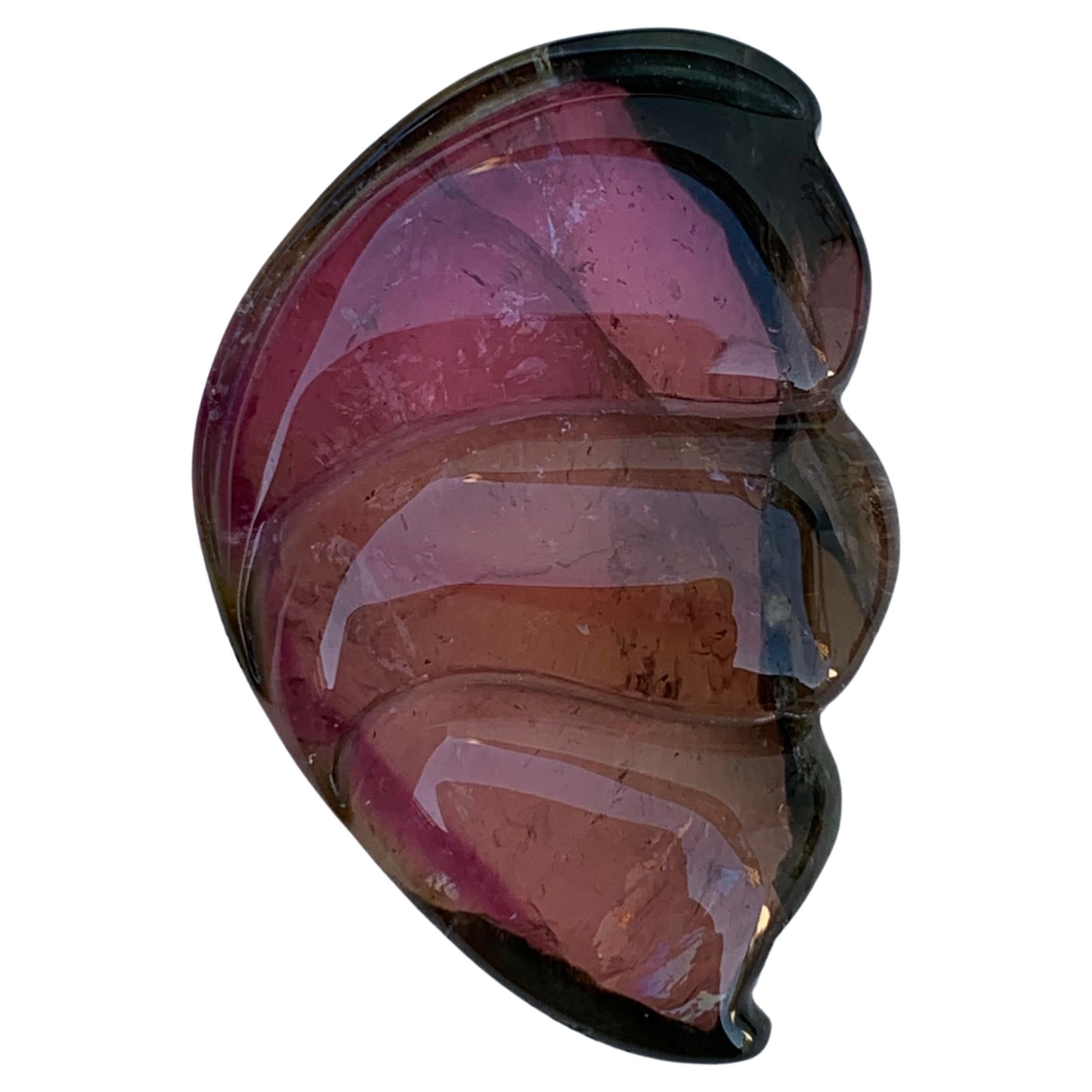 26.40 Carat Pretty Sea Shell Shape Bi Colour Tourmaline Carving From Africa en vente
