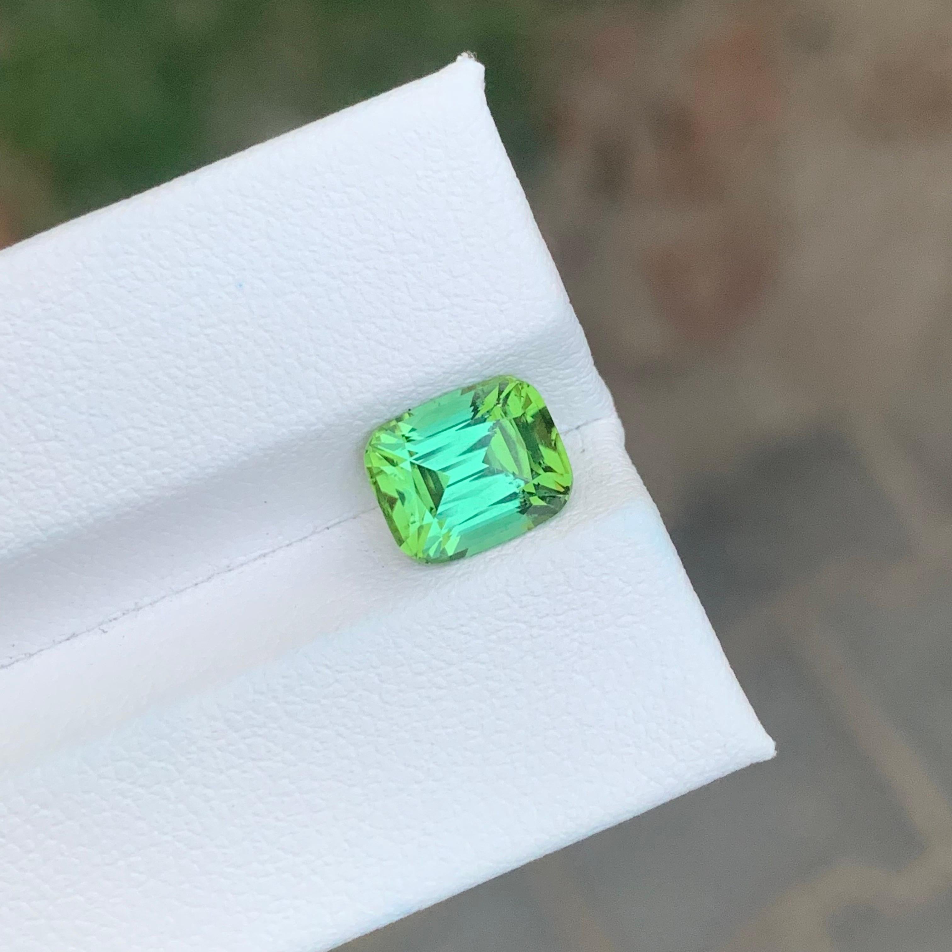 Taille coussin 2.65 Carat Natural Loose Blue Green Tourmaline Cushion Shape Gemstone (Tourmaline bleue verte en forme de coussin) en vente
