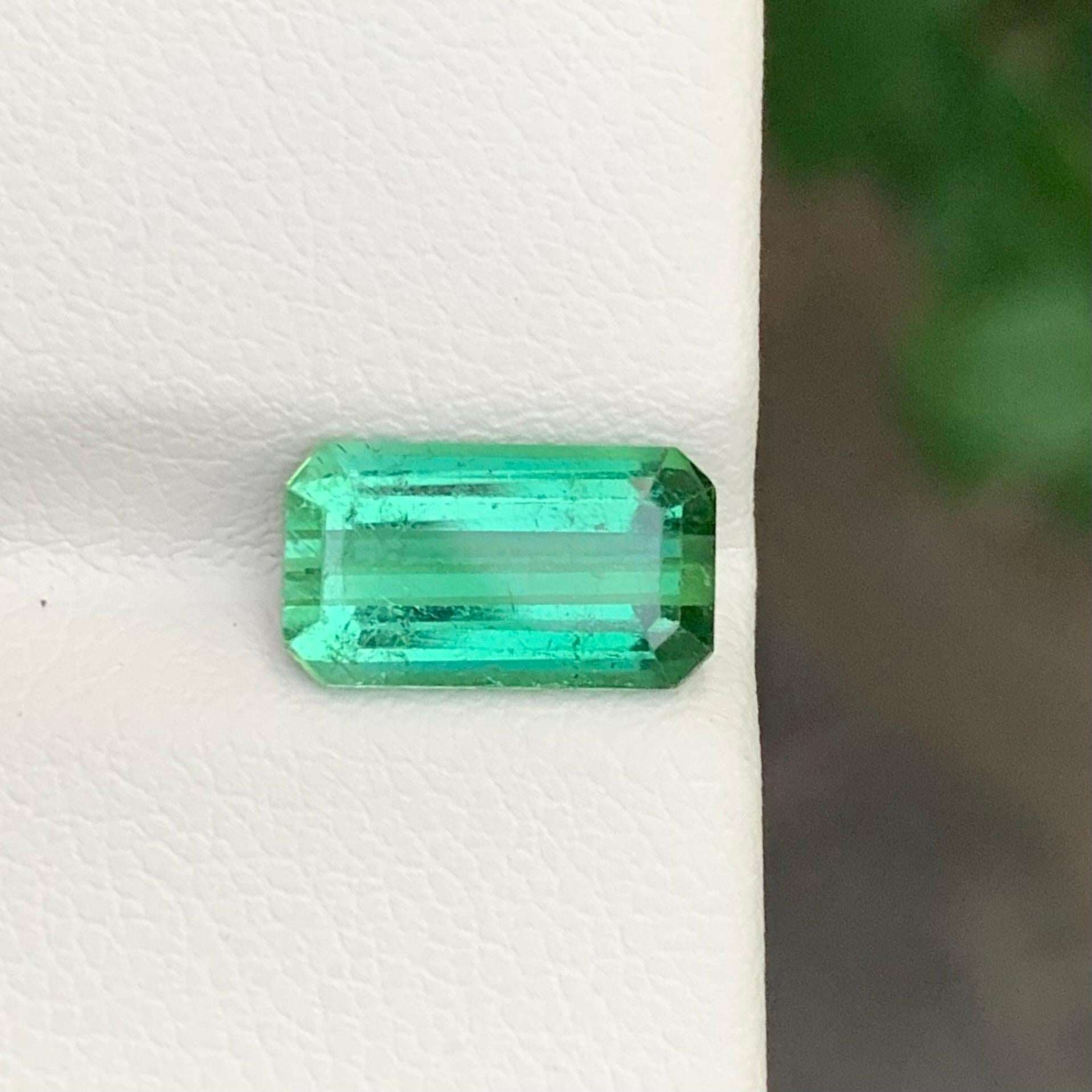 Facettierter grüner Turmalin

Gewicht: 2,65 Karat
Abmessung: 10.8 x 6.1 x 4.3 Mm
Farbe: Grün
Behandlung: Nicht
Zertifikat: Auf Kundenwunsch
Die Form: Smaragd


Der Turmalin ist ein faszinierender Edelstein, der für seine bemerkenswerte Farbvielfalt
