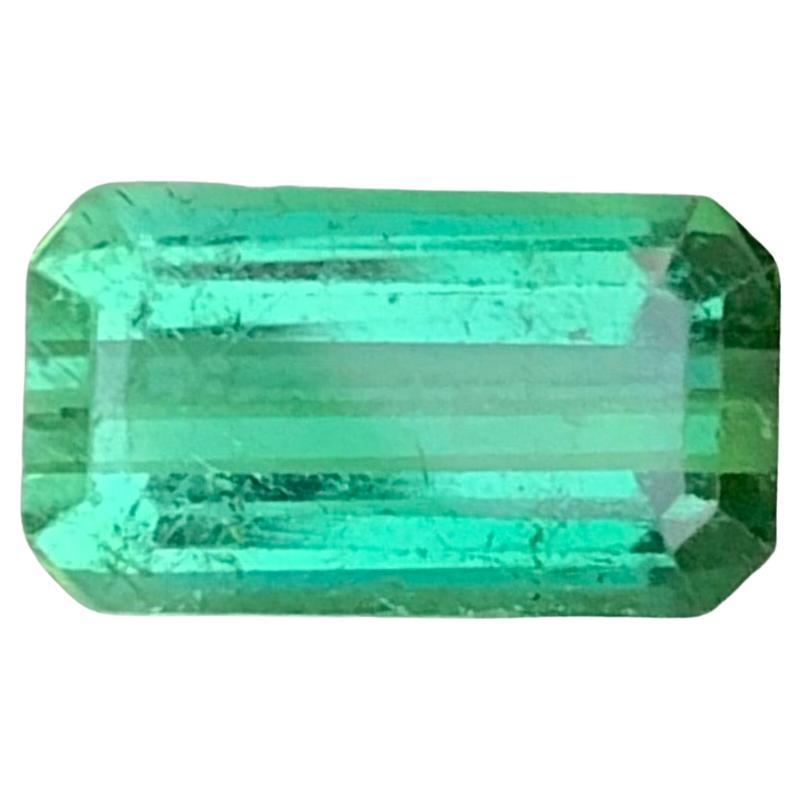2.65 Carat Natural Loose Green Tourmaline Emerald Shape Gemstone