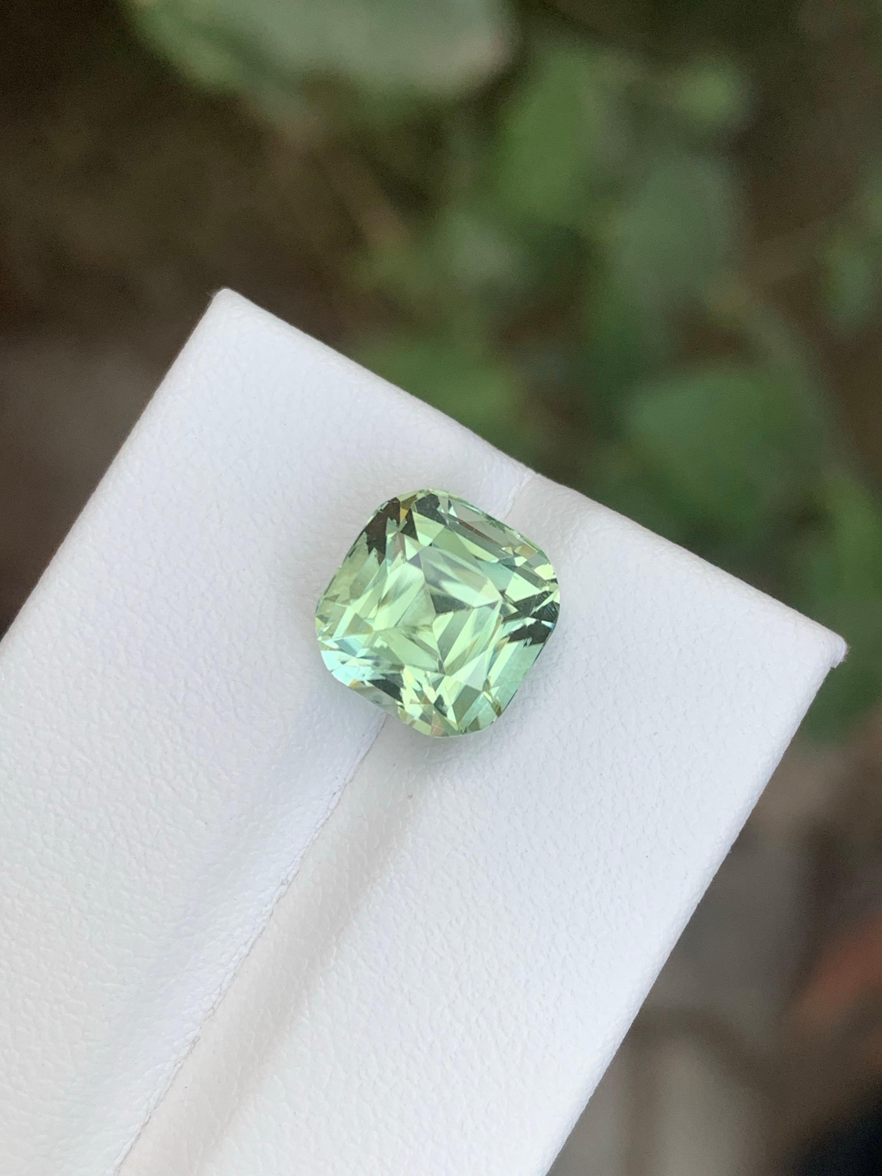 Faceted Mint Green Tourmaline

Weight: 2.65 Carat
Dimension: 8.4 x 8.0 x 5.8 MM
Origin: Afghanistan
Treatment: Non
Certificate: On Customer Demand


Tourmaline is a captivating gemstone known for its remarkable variety of colors, making it a
