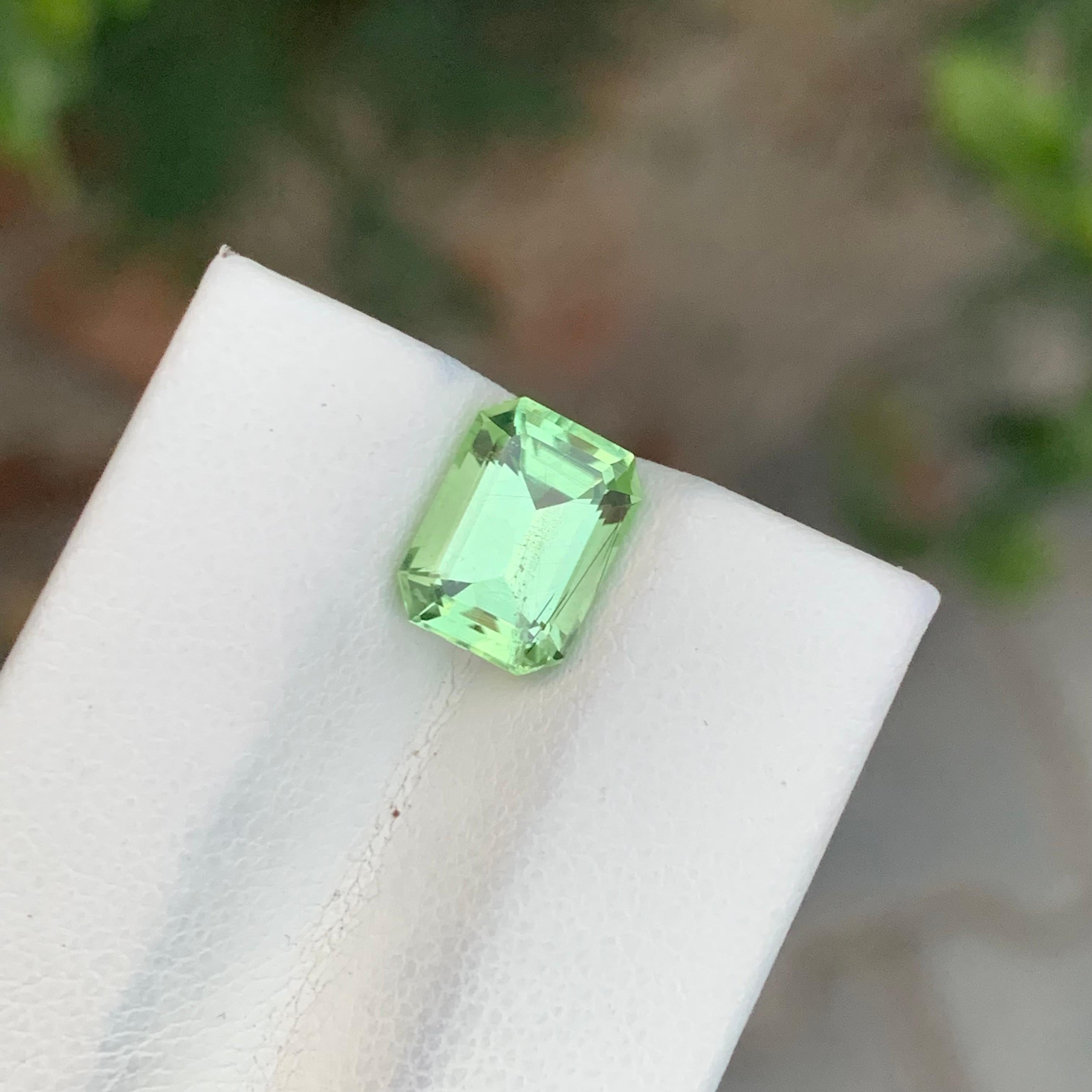 Loser Rutil Peridot

Gewicht: 2,65 Karat
Abmessungen: 9,2 x 6,8 x 5 mm
Herkunft: Pakistan
Die Form: Smaragd 
Farbe: Hellgrün 
Behandlung: Nicht

Der pakistanische Peridot ist eine atemberaubende Varietät des grünen Edelsteins Peridot, der für seine
