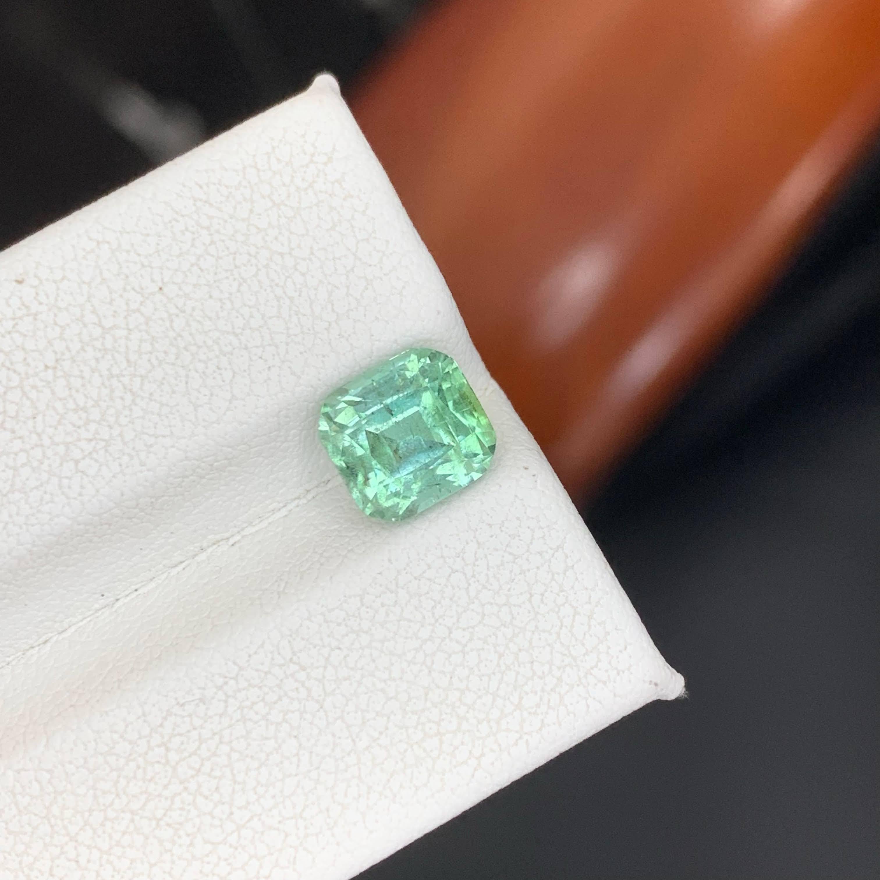 2.65 Carat Natural Loose Sea Foam Color Tourmaline Cushion Cut Afghan Gemstone (pierre précieuse afghane) en vente 5