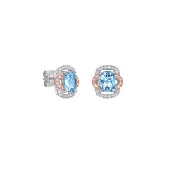 Sunita Nahata Acquamarina 2.66ct. Orecchino con diamante in 18KWRG.