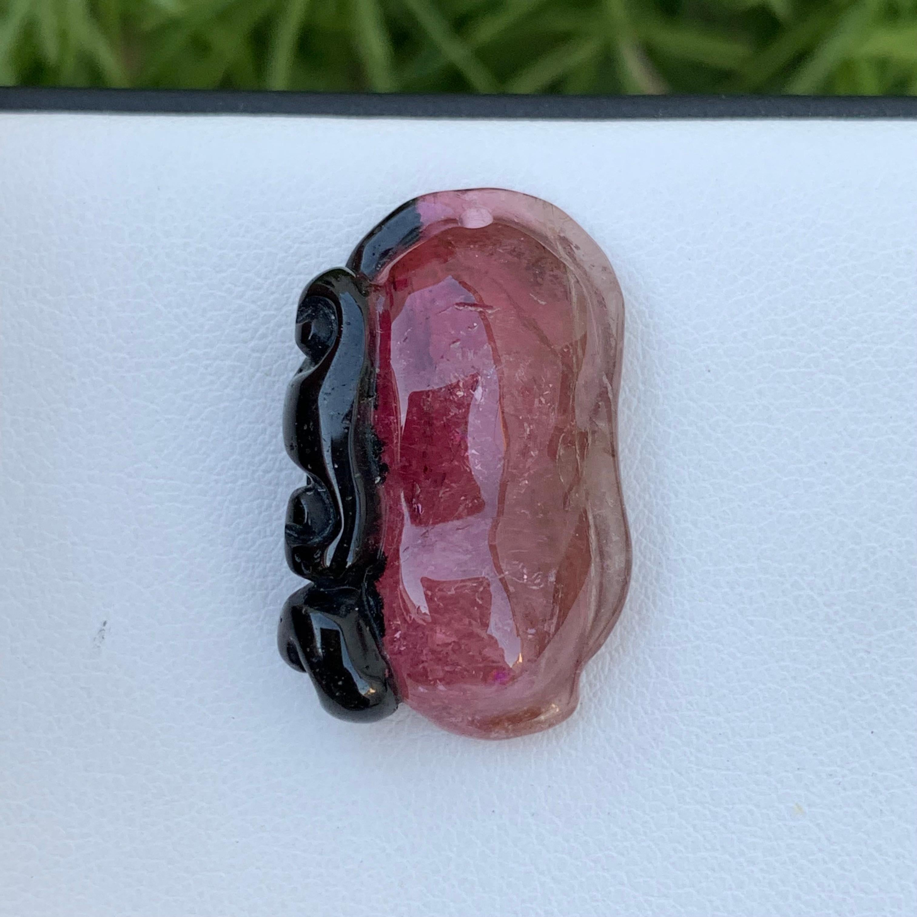 Adam Style 26.70 Carat Fruit Shape Bi Colour Tourmaline Drilled Carving From Africa  For Sale