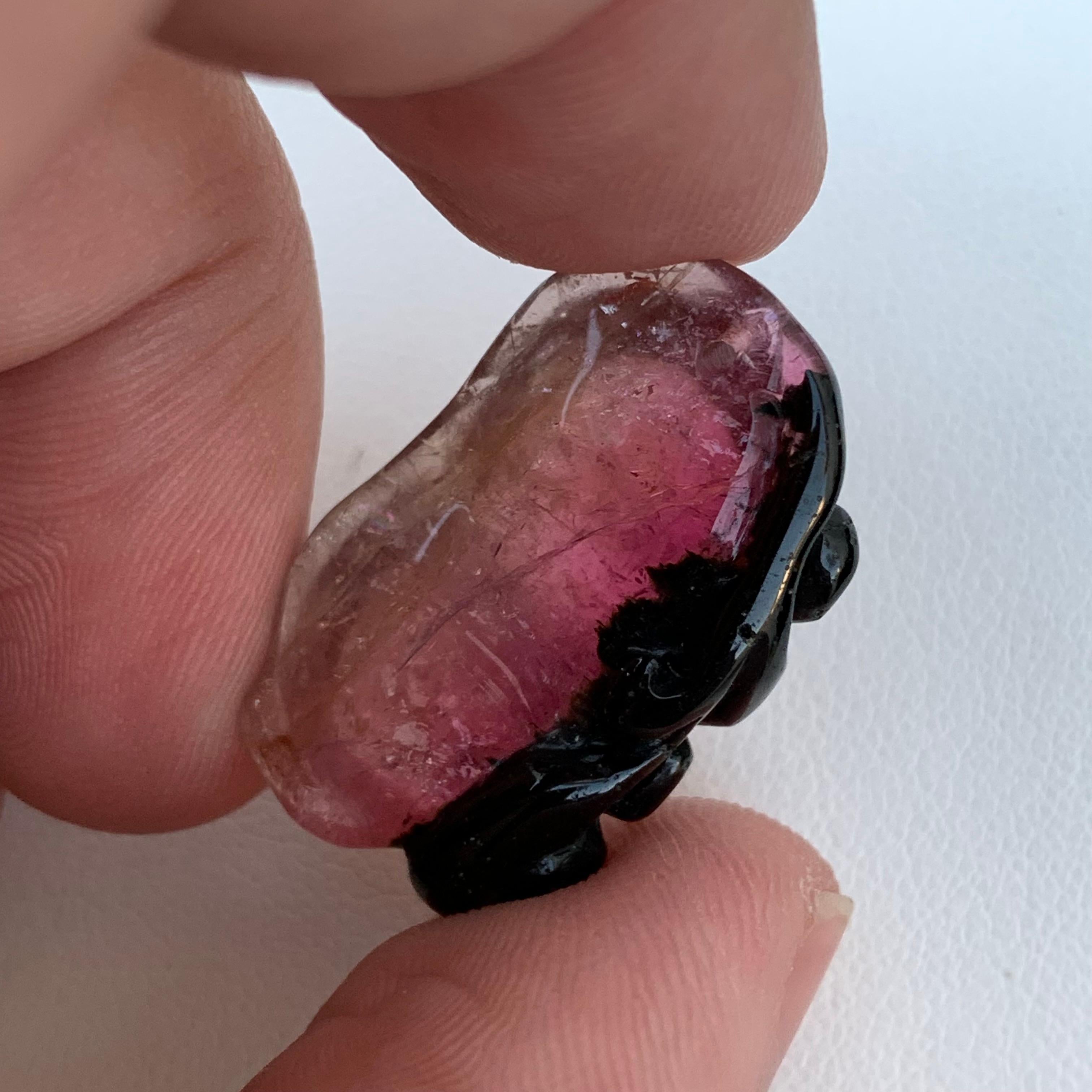 Other 26.70 Carat Fruit Shape Bi Colour Tourmaline Drilled Carving From Africa  For Sale