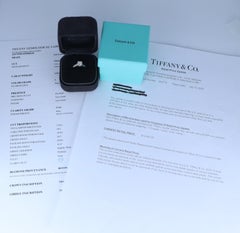 26769 Tiffany & Co Lucida Platinum 1.10 I VVS1 Radiant Diamond Engagement Ring