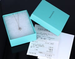 26779 Tiffany Co Schlumberger Sixteen Stone Platinum Diamond X Pendant Necklace