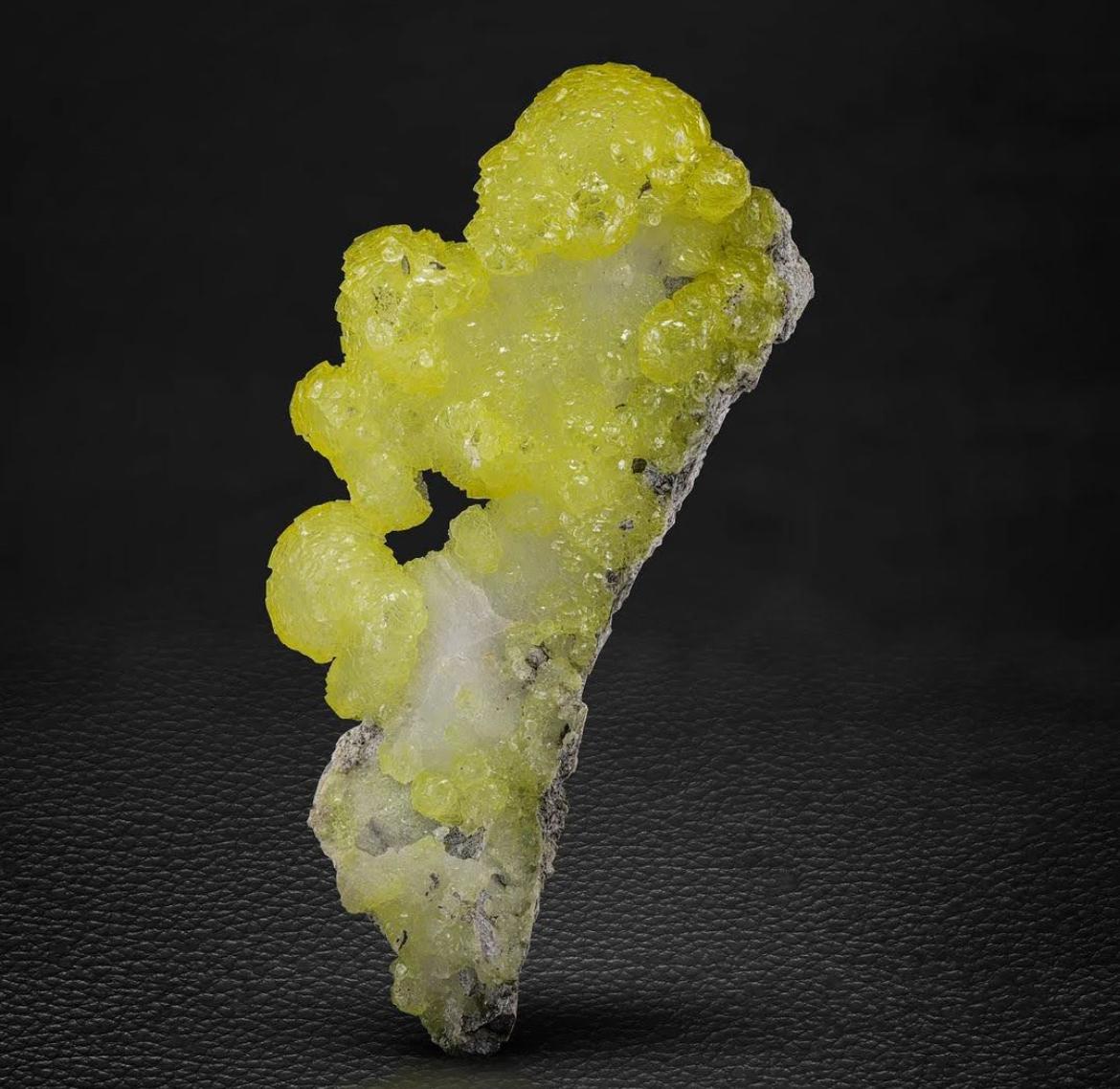 Pakistanais 268 grammes de cristaux Botryoidal Brucite jaune citron sur matrice chromée en vente