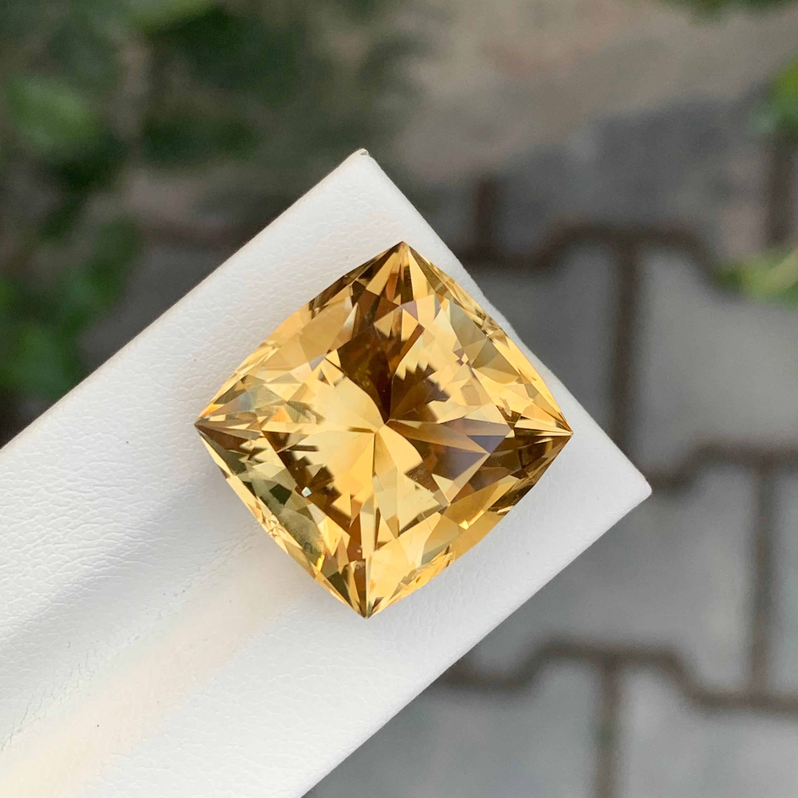 26,90 Karat Natürlicher Citrin im Schmetterlingsschliff Edelstein im Angebot 4