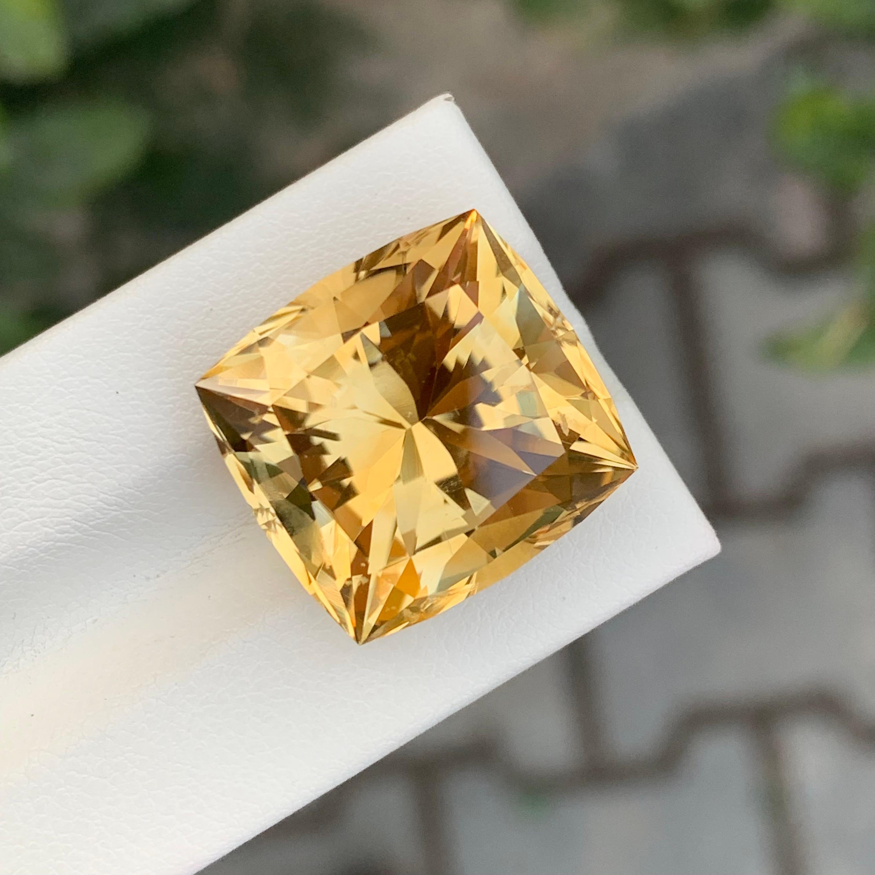 26,90 Karat Natürlicher Citrin im Schmetterlingsschliff Edelstein im Angebot 5