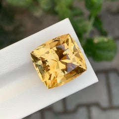 26.90 Carat Natural Loose Citrine Butterfly Cut Gemstone