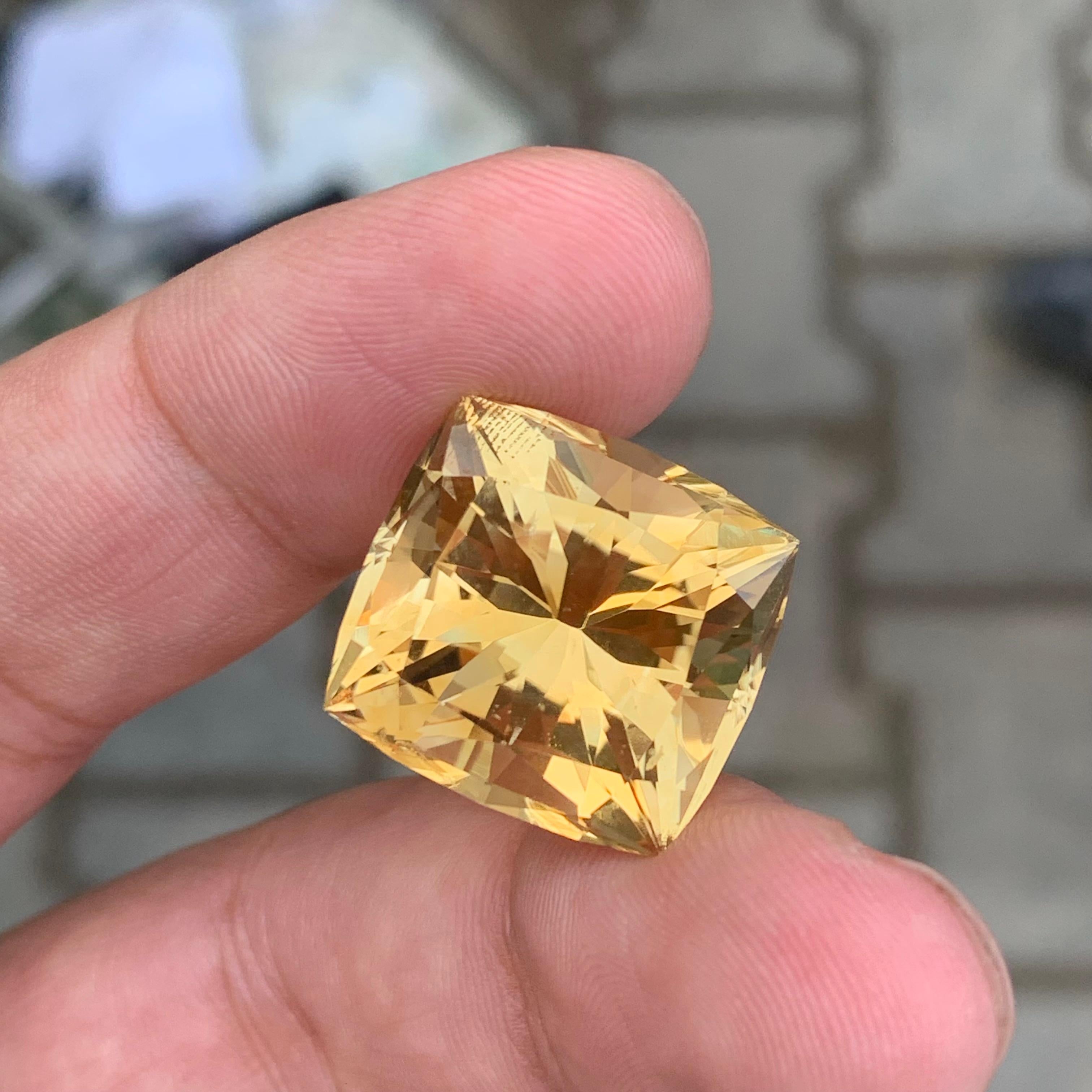 26,90 Karat Natürlicher Citrin im Schmetterlingsschliff Edelstein (Arts and Crafts) im Angebot