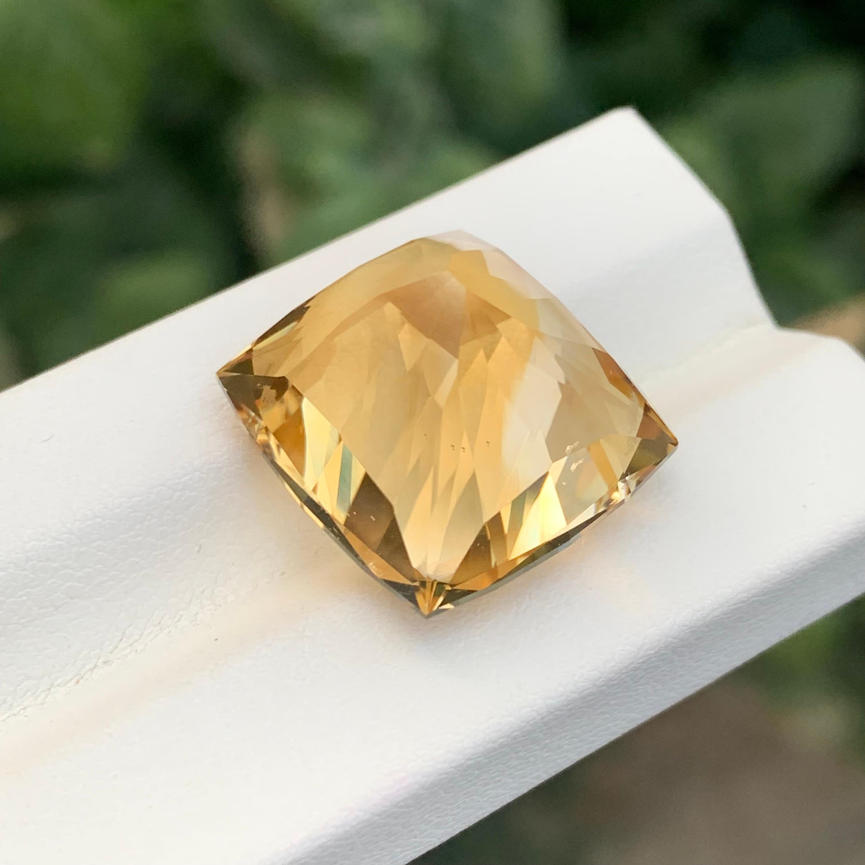 26,90 Karat Natürlicher Citrin im Schmetterlingsschliff Edelstein im Zustand „Neu“ im Angebot in Peshawar, PK