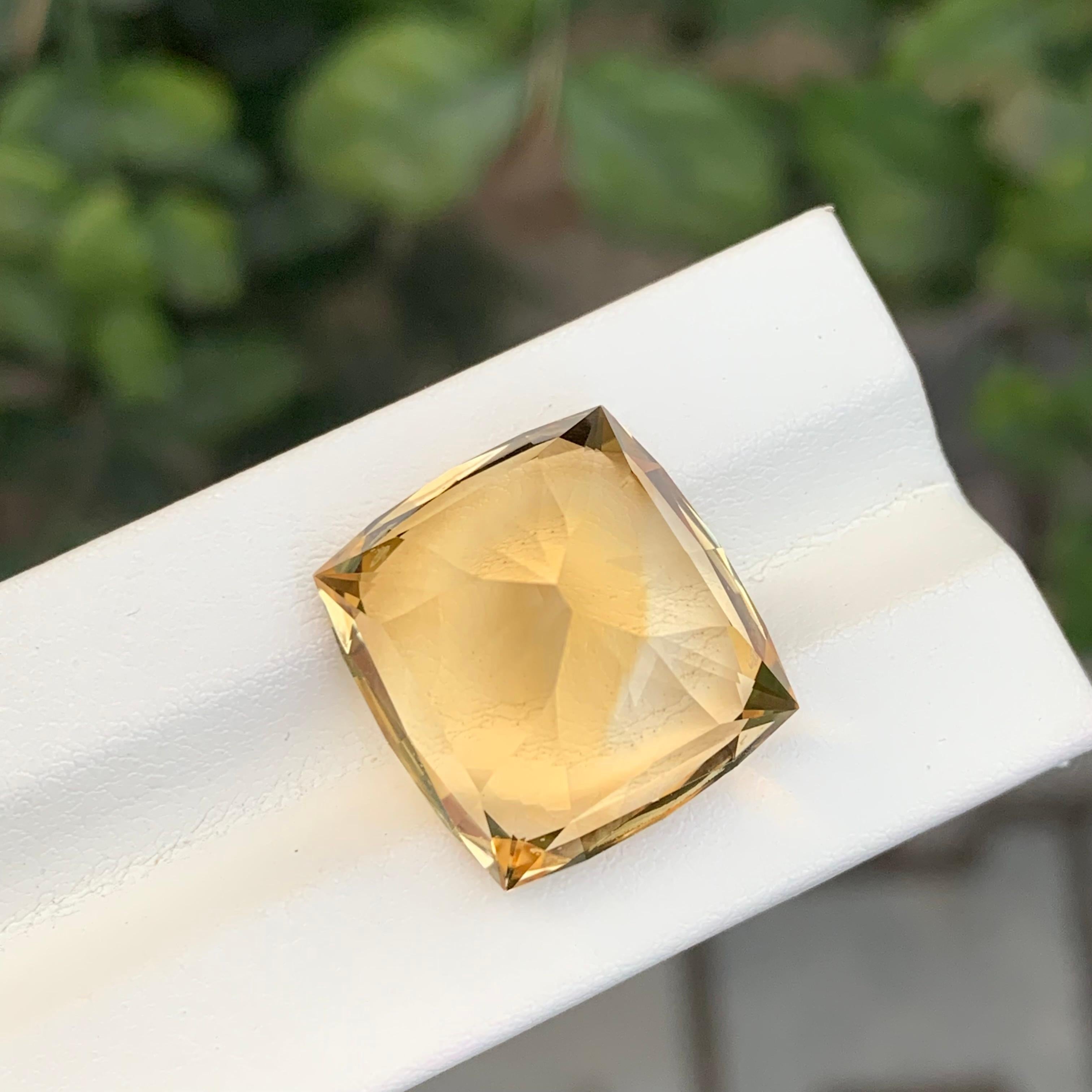 26,90 Karat Natürlicher Citrin im Schmetterlingsschliff Edelstein für Damen oder Herren im Angebot