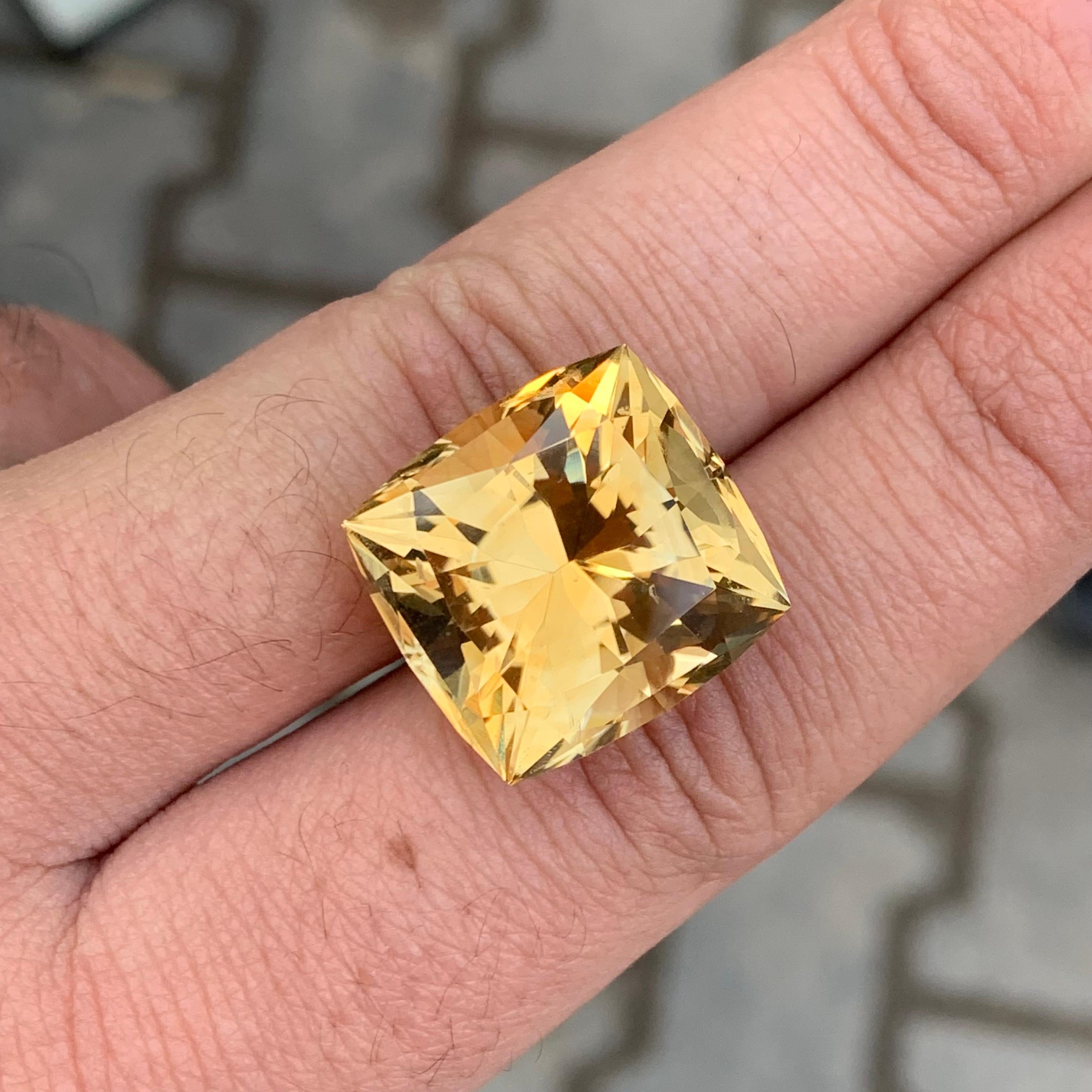 26,90 Karat Natürlicher Citrin im Schmetterlingsschliff Edelstein im Angebot 1
