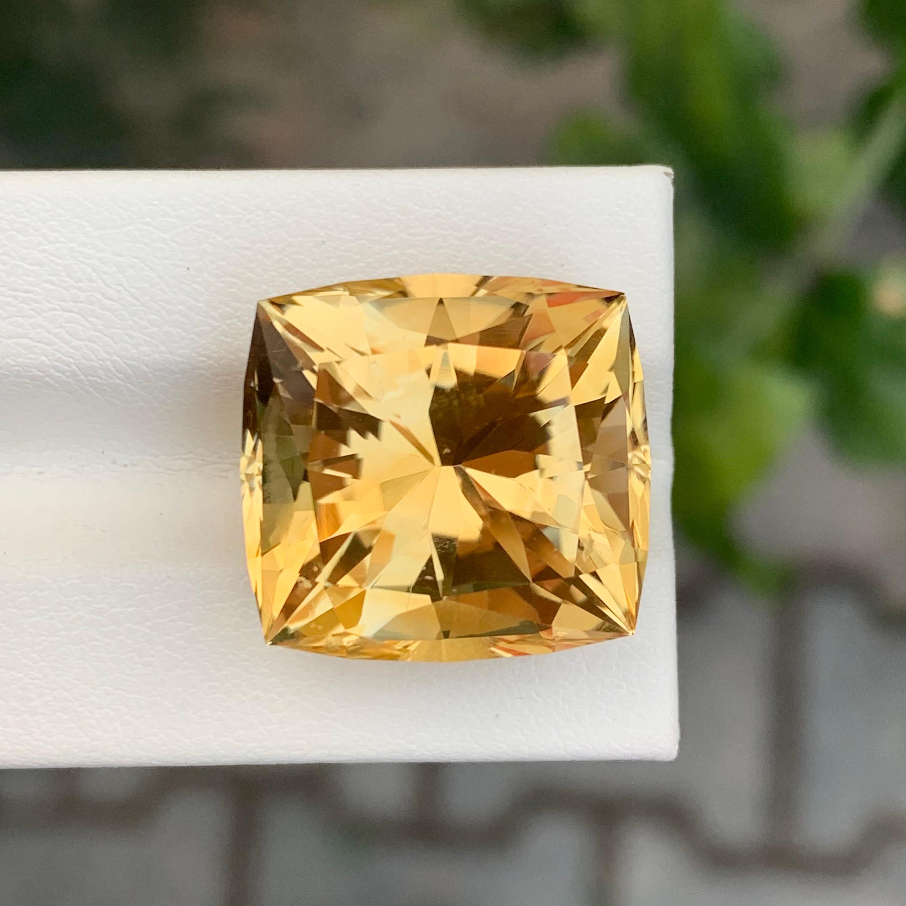 26,90 Karat Natürlicher Citrin im Schmetterlingsschliff Edelstein im Angebot 2