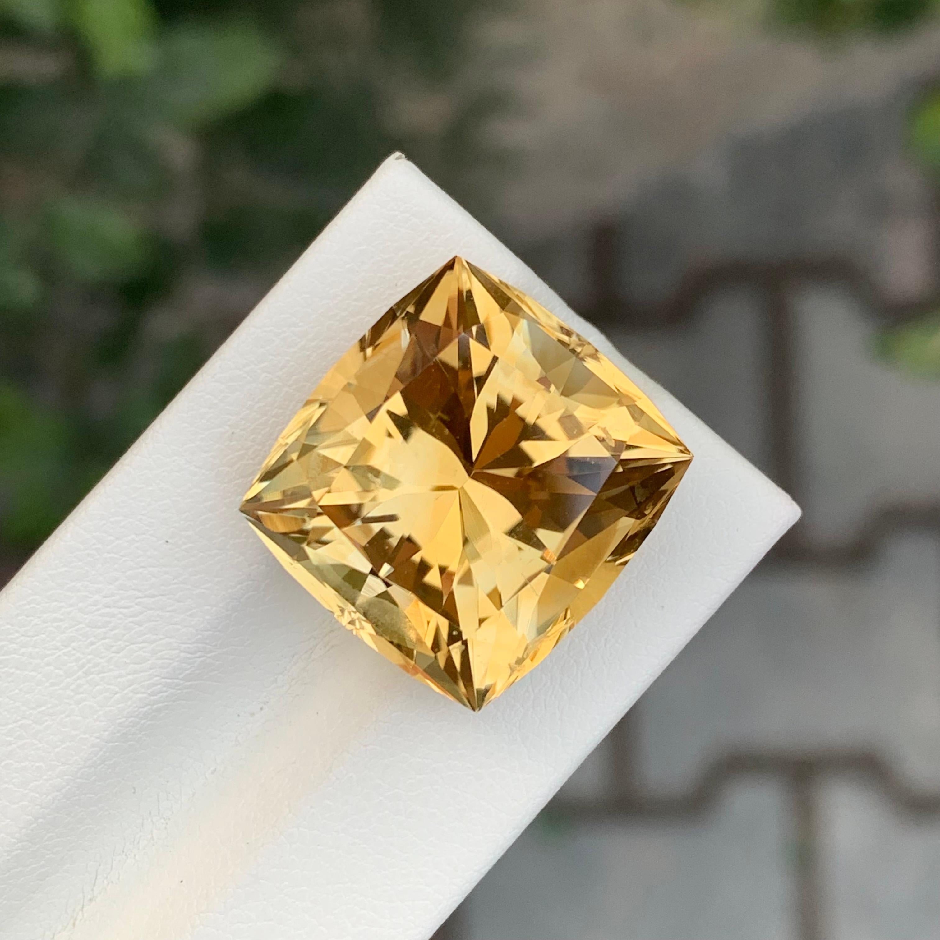 26,90 Karat Natürlicher Citrin im Schmetterlingsschliff Edelstein im Angebot 3