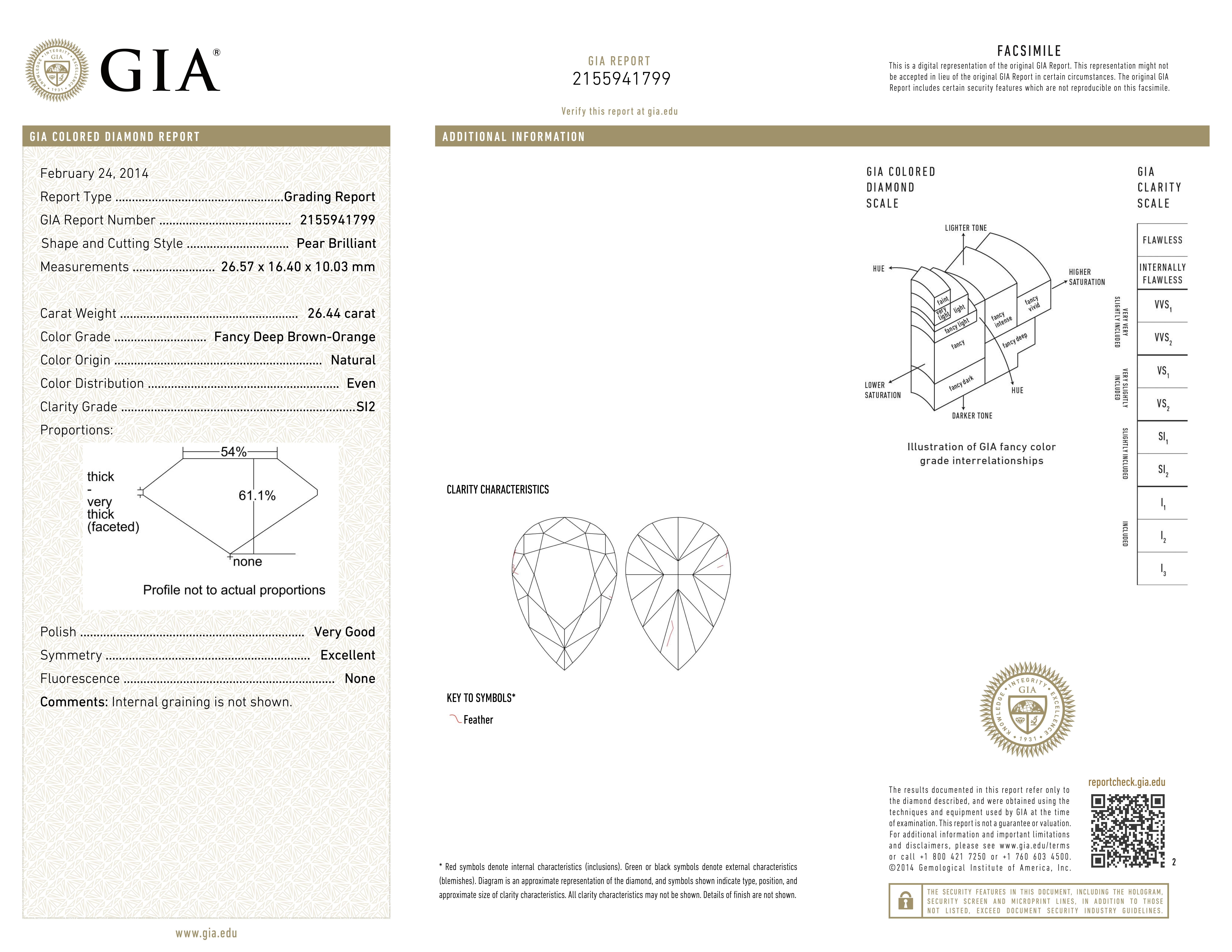 26Ct GIA Certified Fancy Deep Brown Orange Diamond ! en vente 3